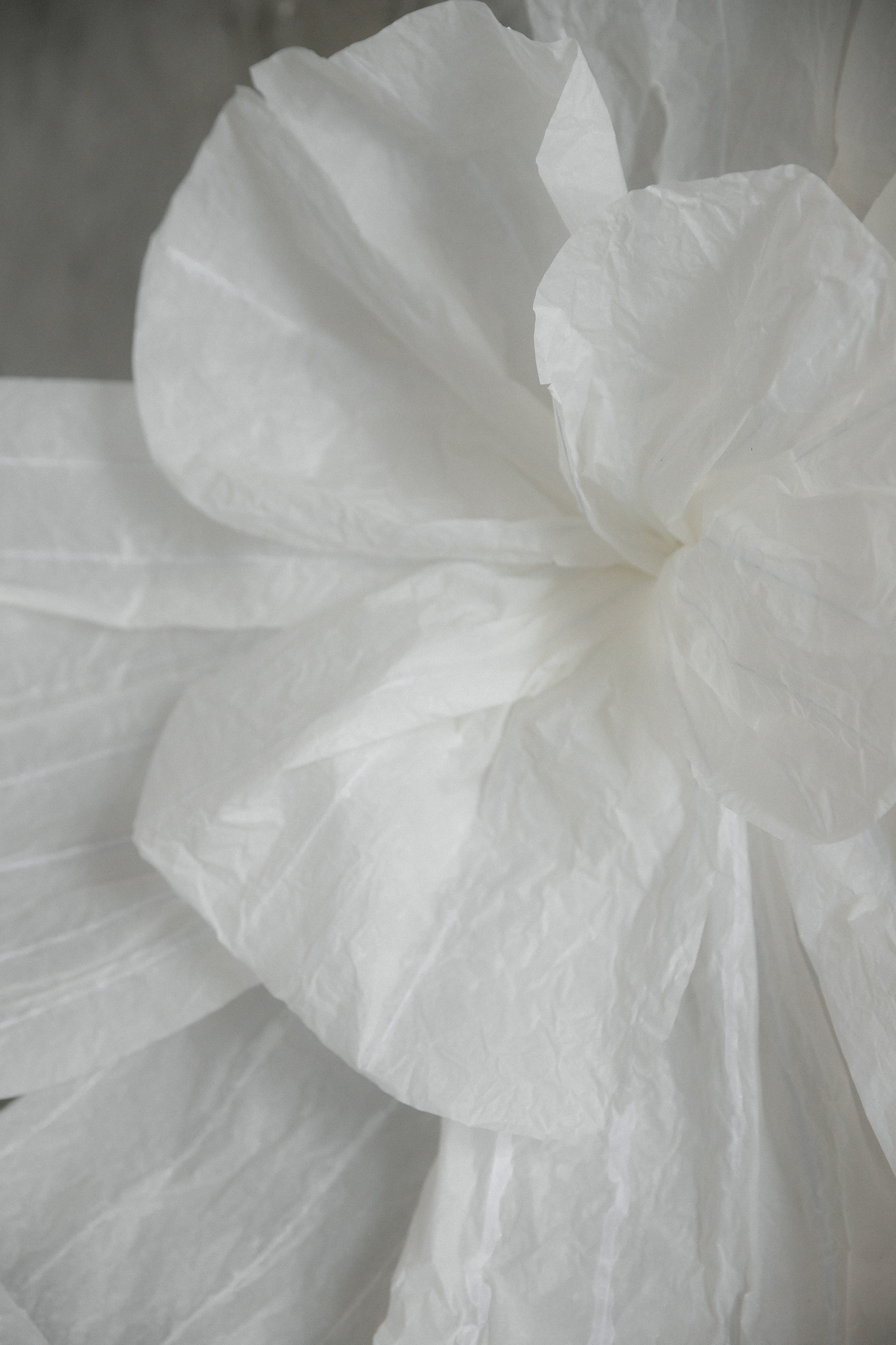 E&V. ЭМОЦИИ В КАЖДОМ СНИМКЕ