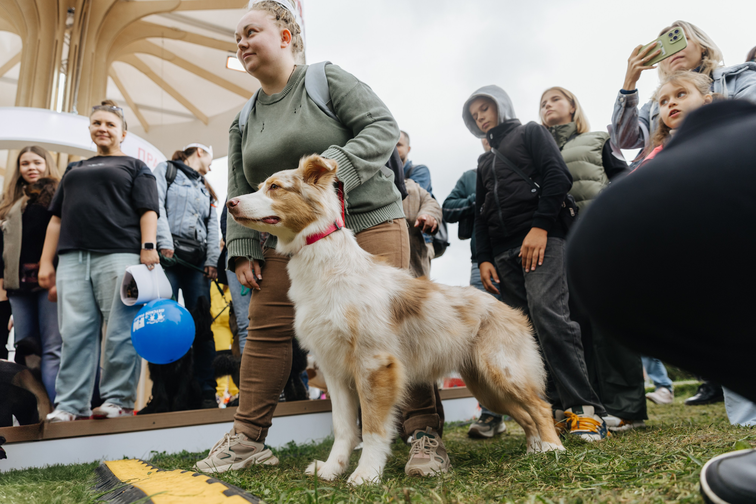 Хвостатый репортаж. Аксана Лисовская фотограф в Москве. Фотографии с характером