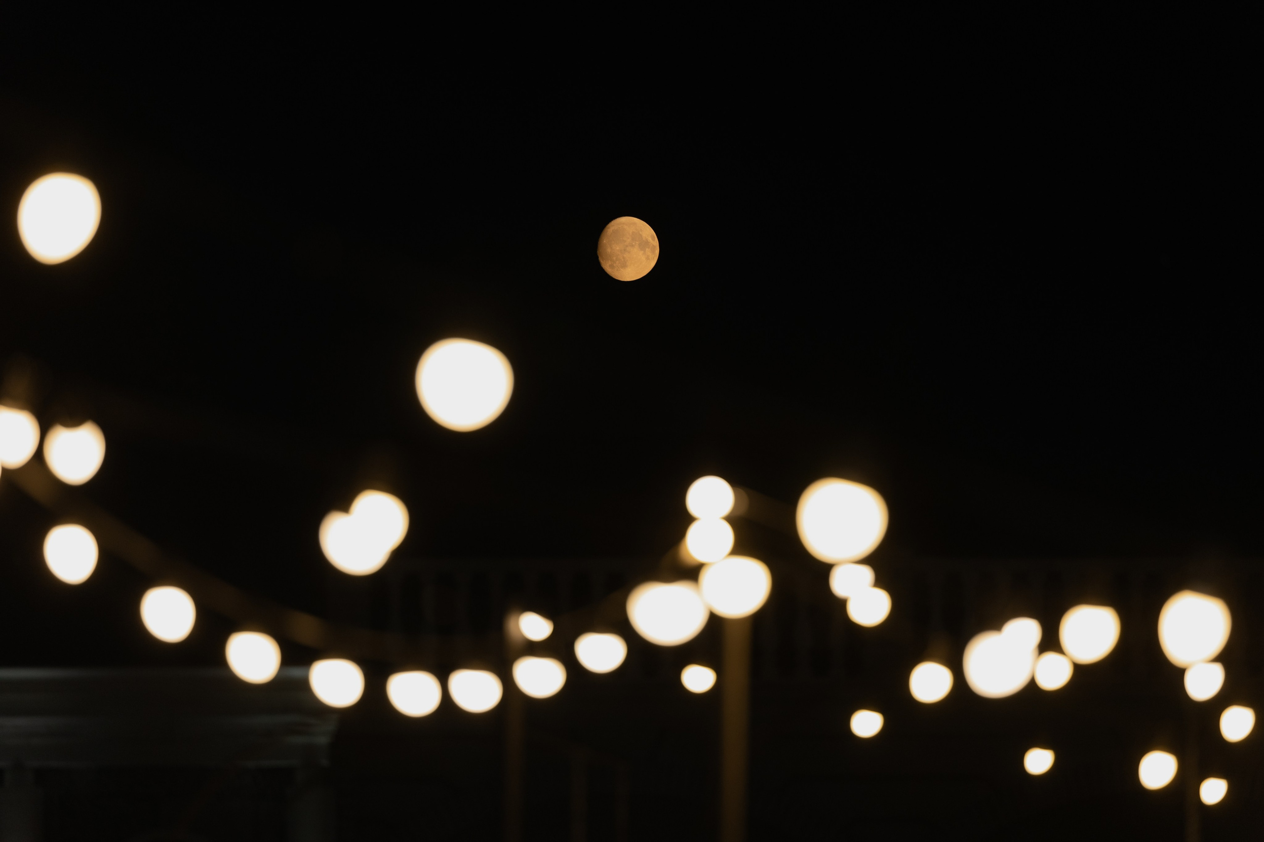 Marta & Arseniy. Свадебный фотограф Кристина Винокурова