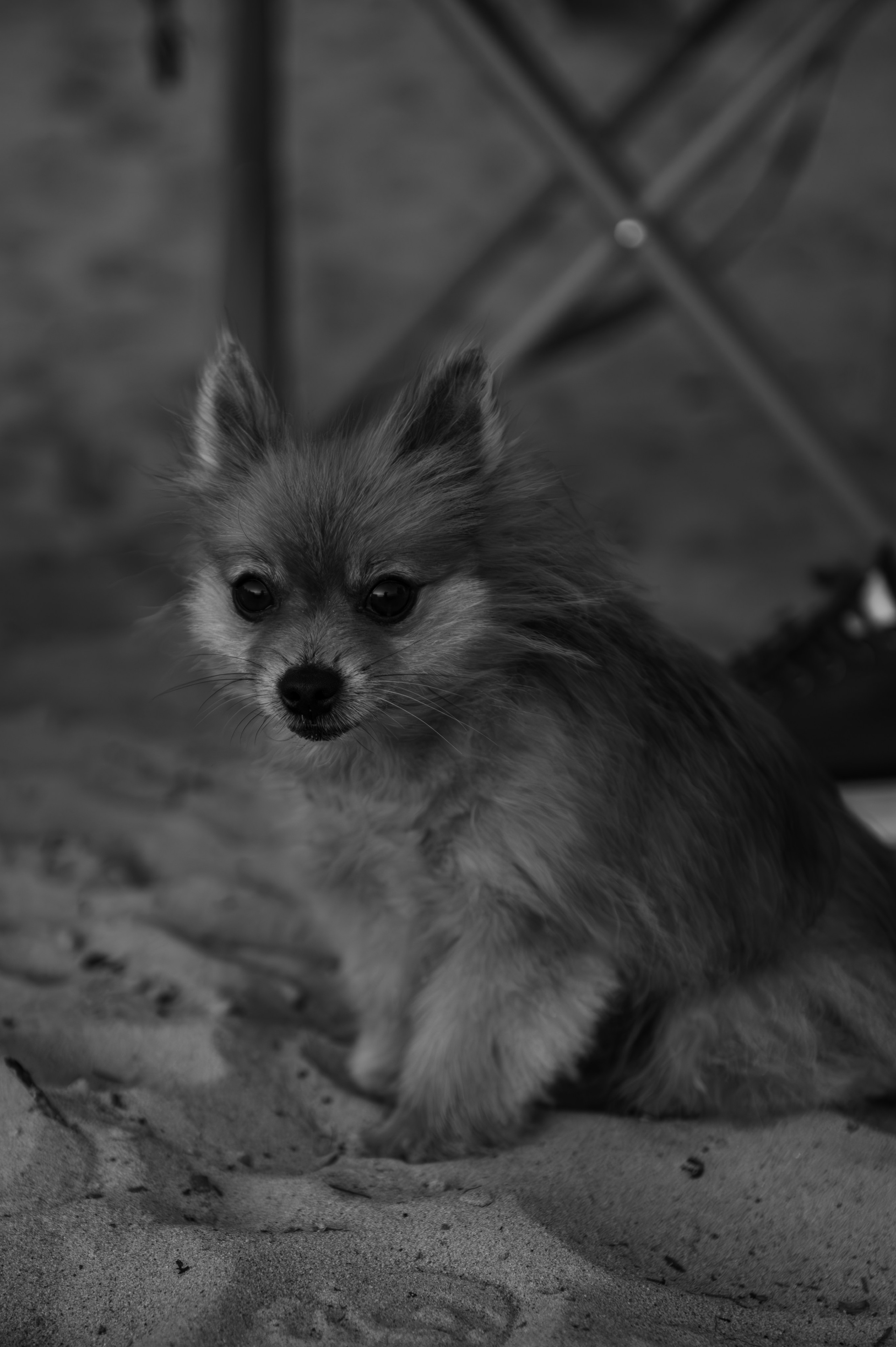 | Оксана & Александр |. Свадебный и портретный фотограф в Казани