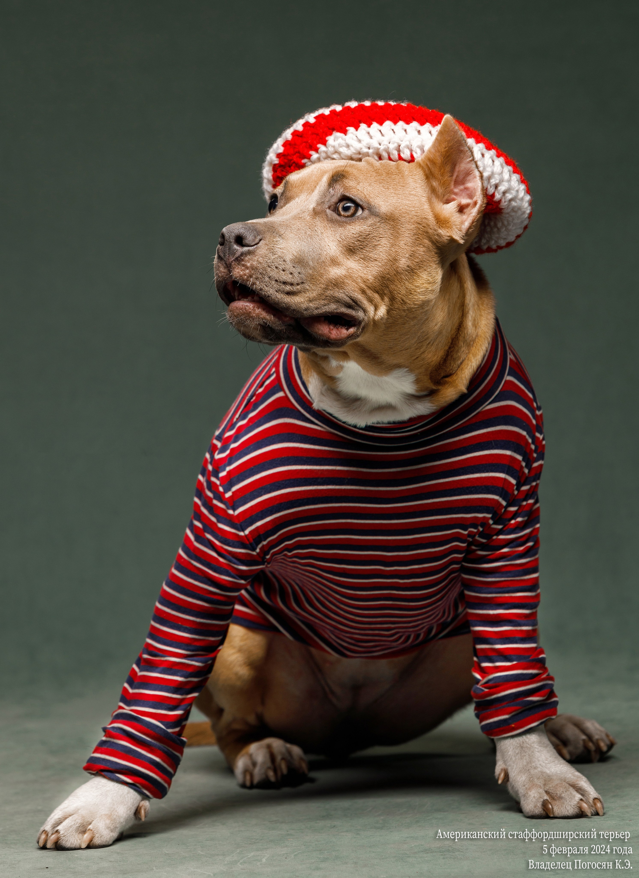 фотография Бориса  Долинина, фотосессия в абакане , фотостудия в Абакане, фотограф  в Абакане