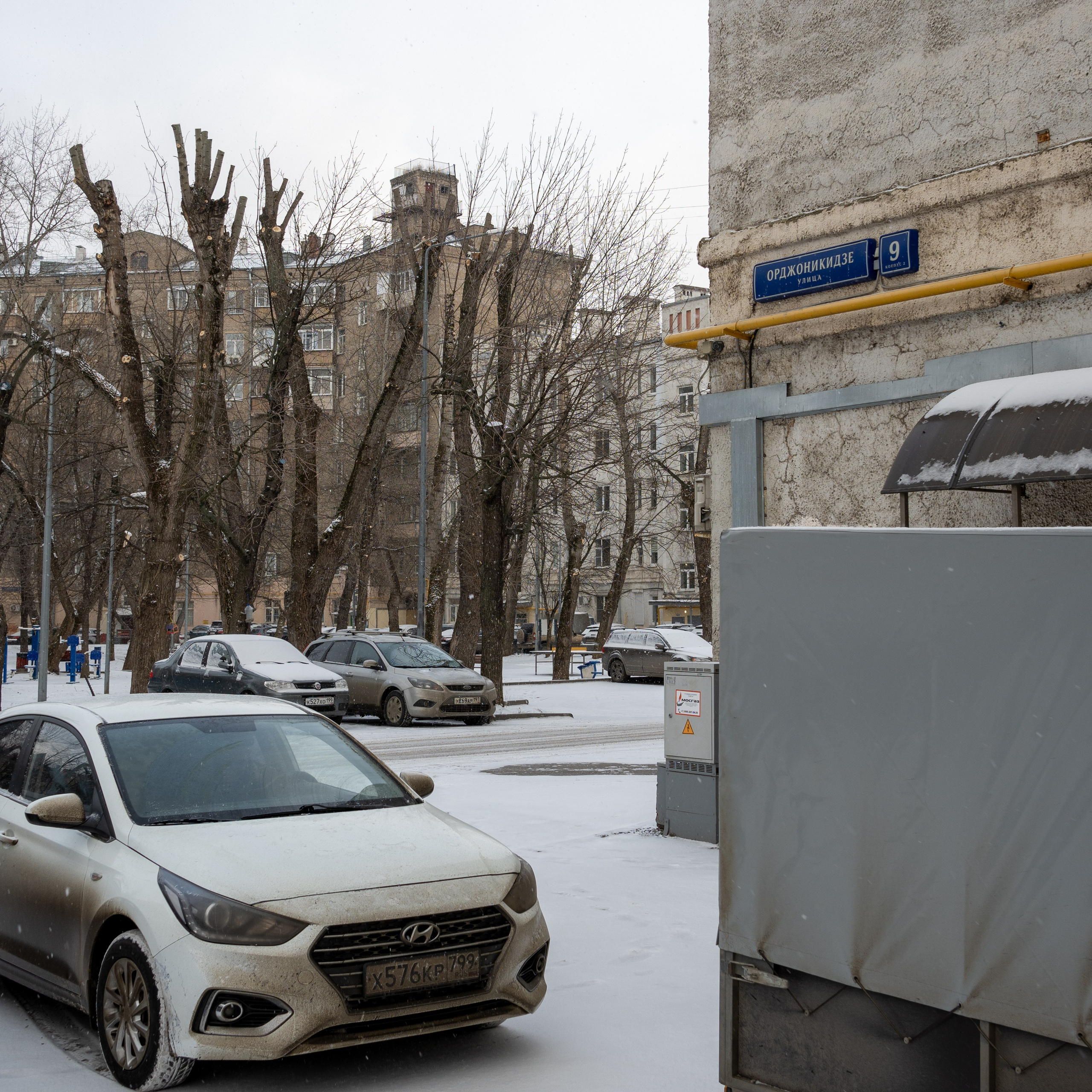 20250216 Нескучный сад. Дмитрий Ремизов. Фотография, как хобби