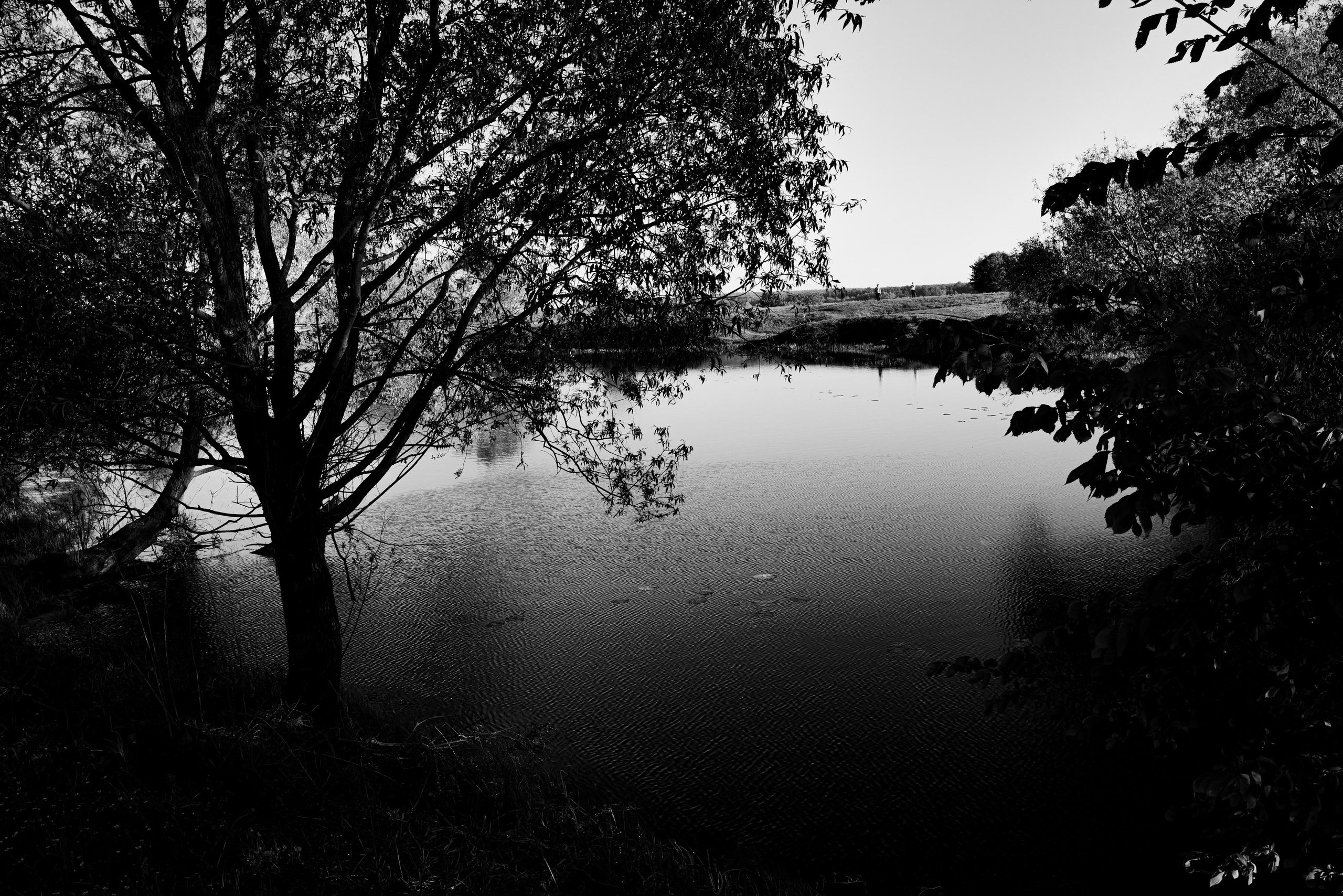 Vladimir. Фотограф Евгения Добротворская