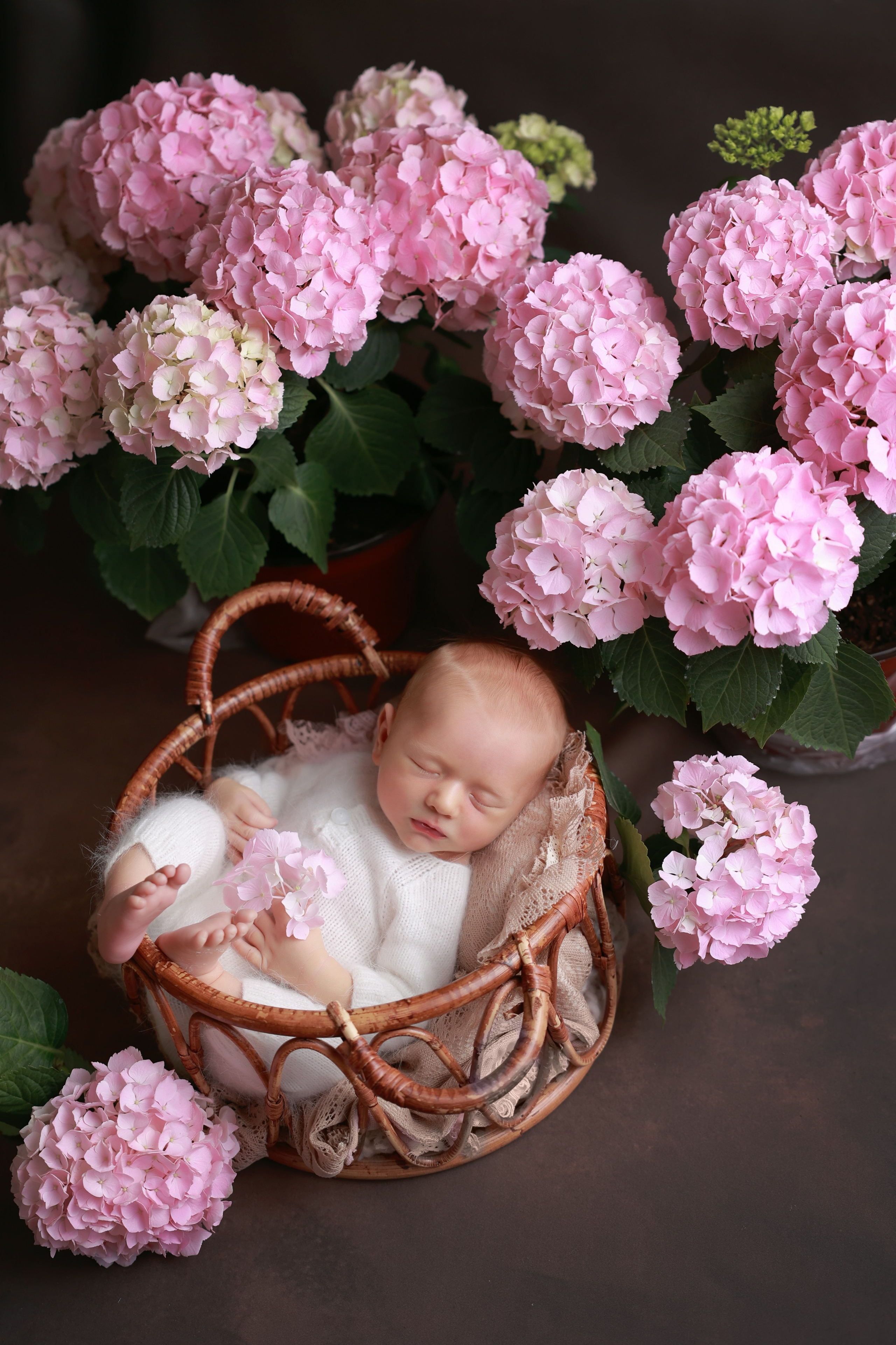 Фотограф новорожденных Сочи. Фотограф новорожденных в Сочи