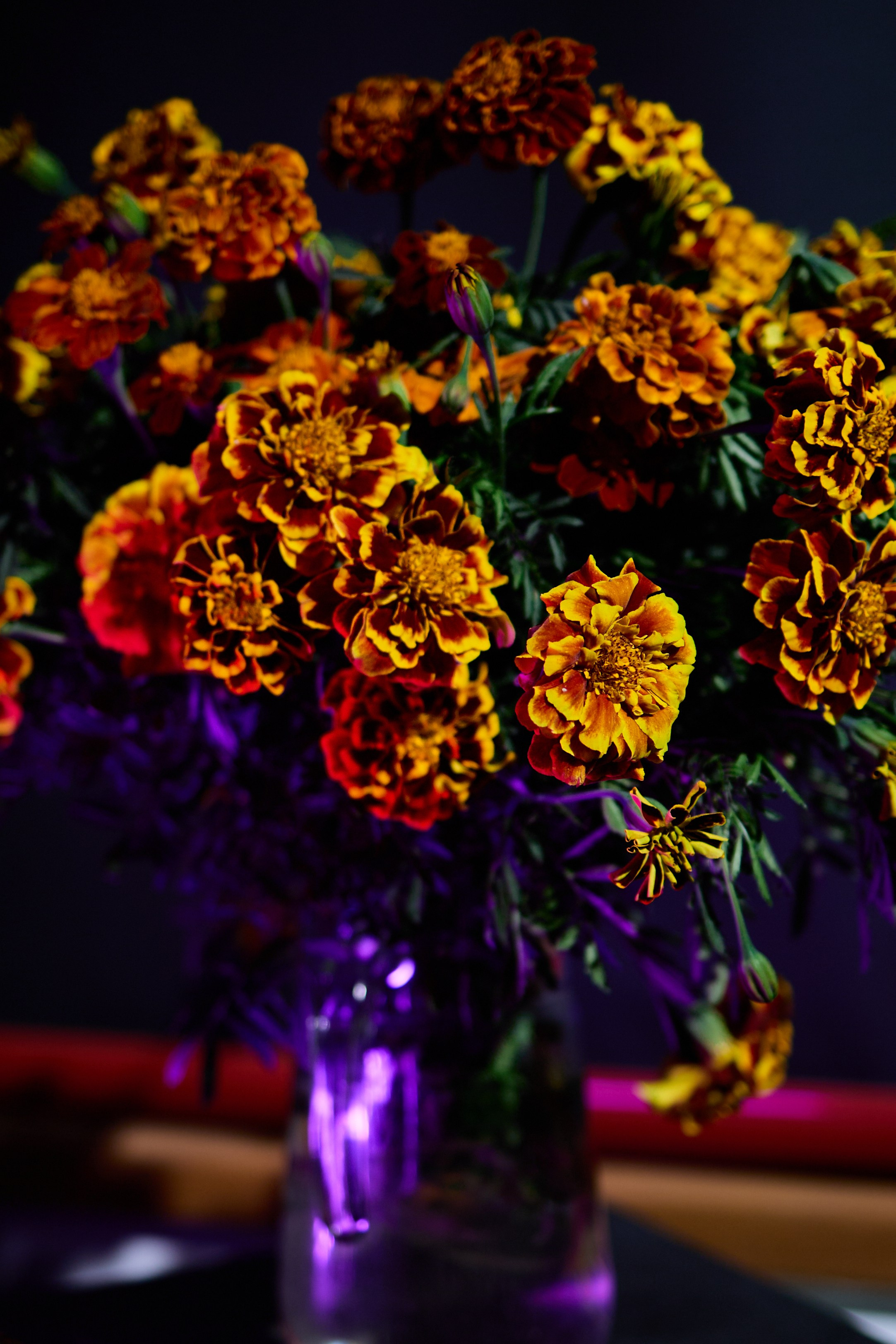 Ломы. Любовь Юсупова. Фотограф