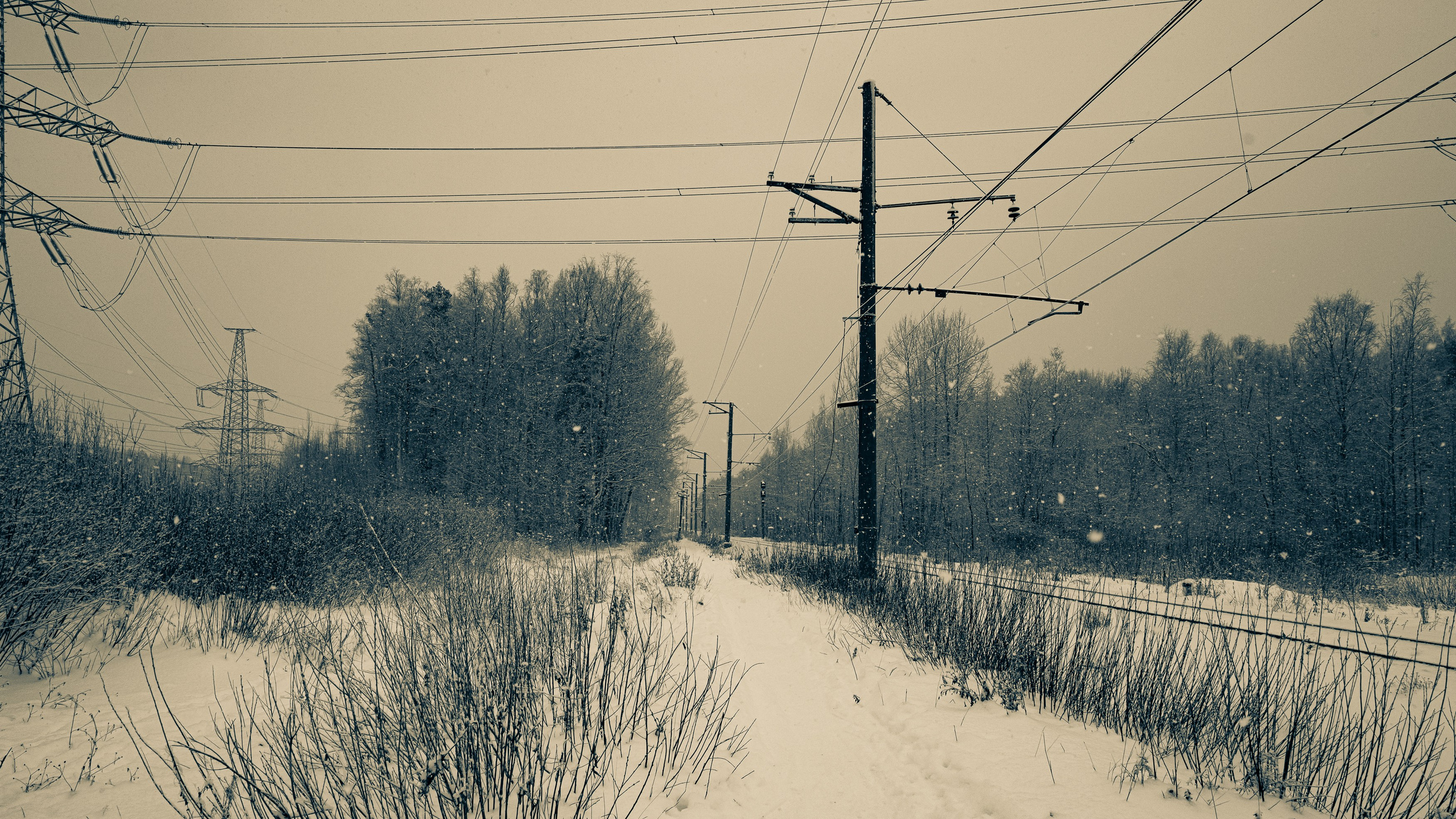 Landscape, nature, plants, details of the world around us. Personal website of photographer Dmitry Raikin