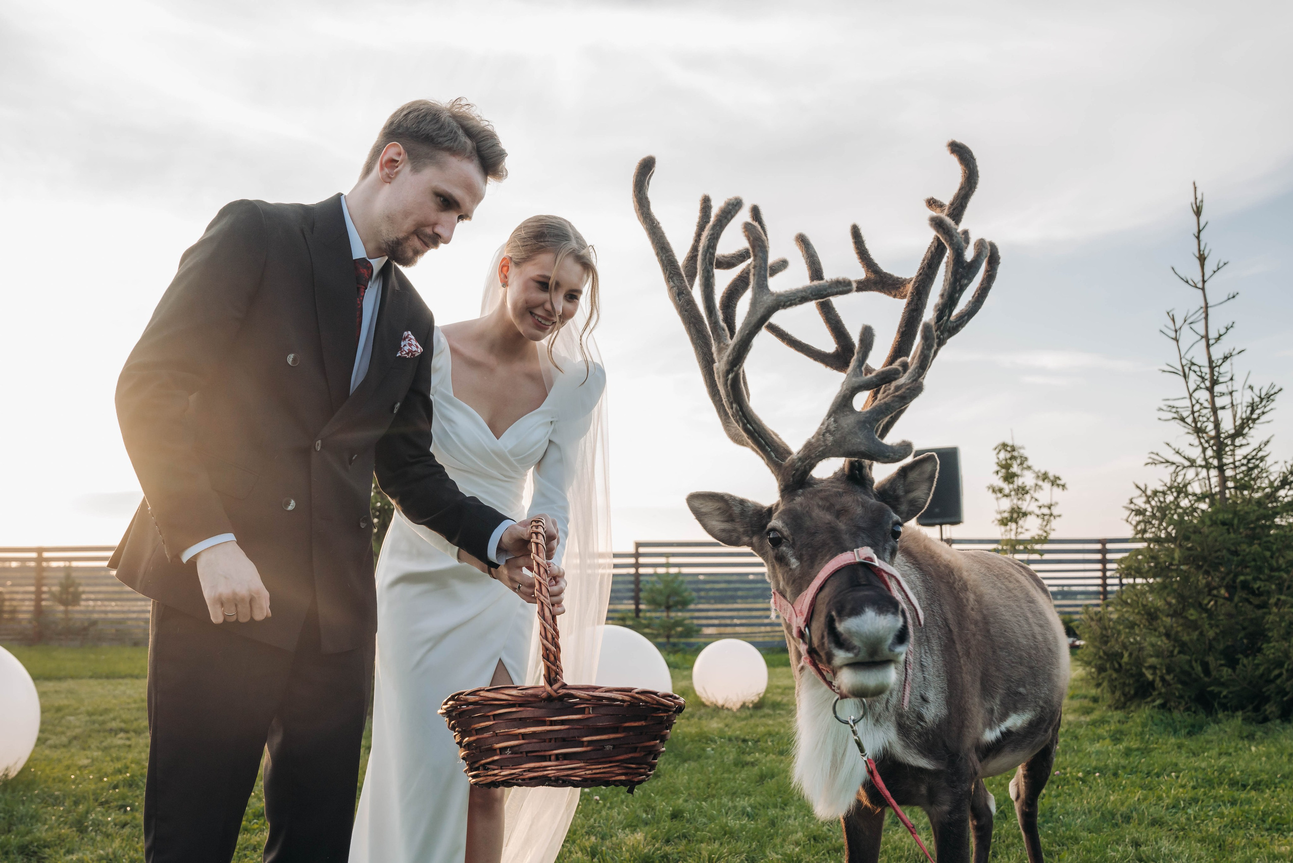 Alisa & Daniil. Свадебный фотограф в Санкт-Петербурге Якутович Екатерина