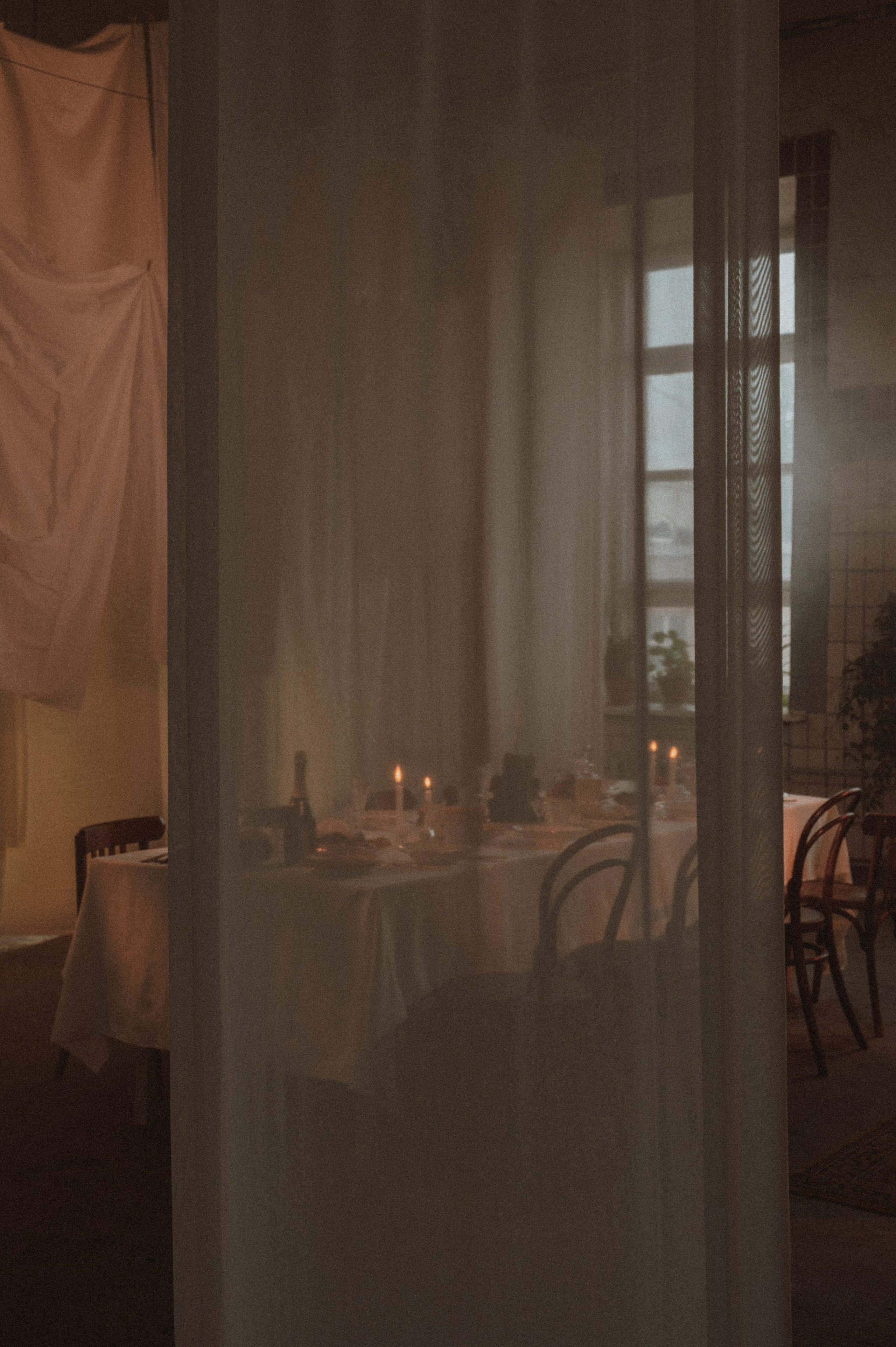 Цветы на подоконнике. Свадебный фотограф в Рязани Дзюрак Елизавета