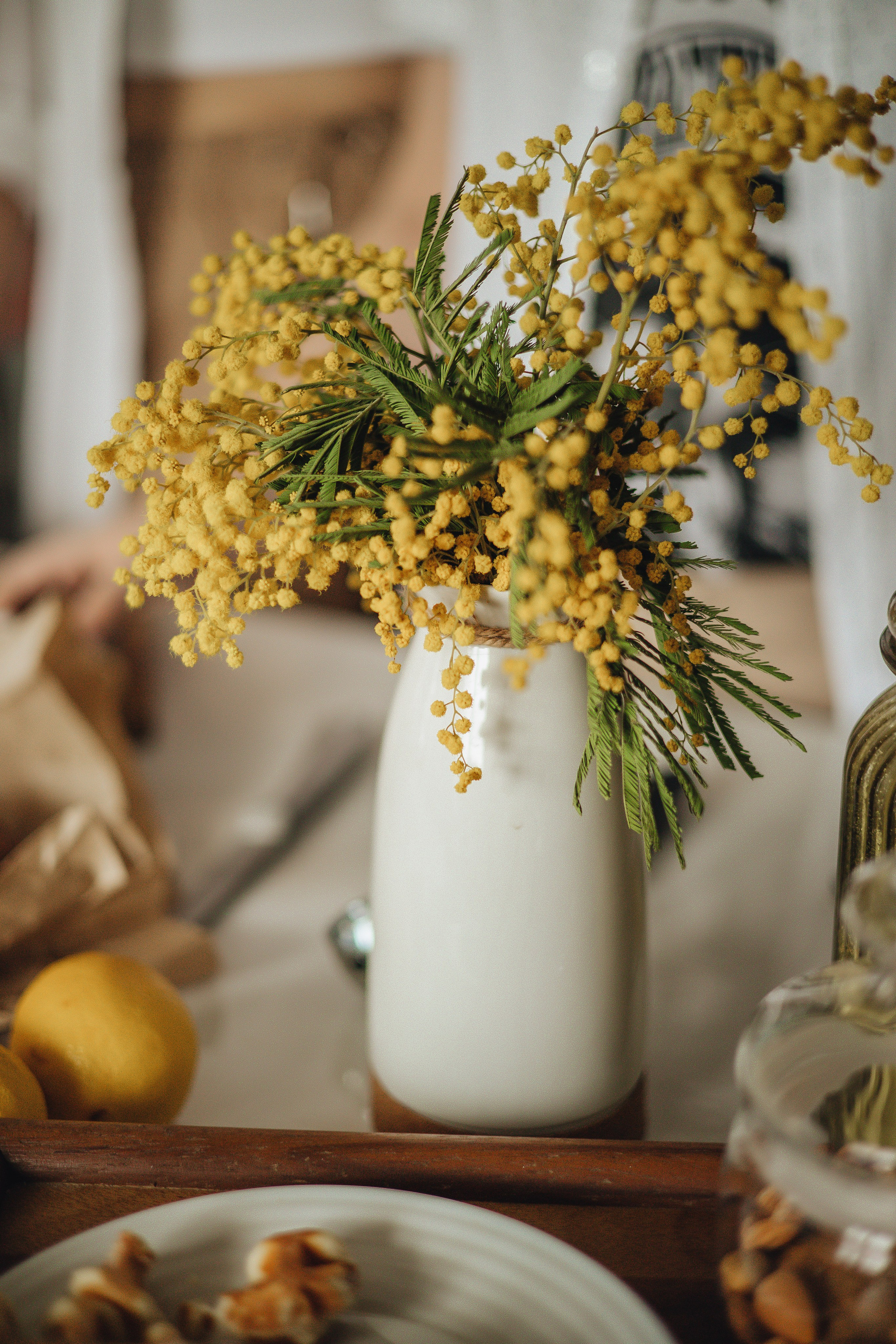 Home — съемка. Свадебный и семейный фотограф Пушкин Царское Село СПБ Питер Санкт-Петербург и Рязань Ольга Козлова