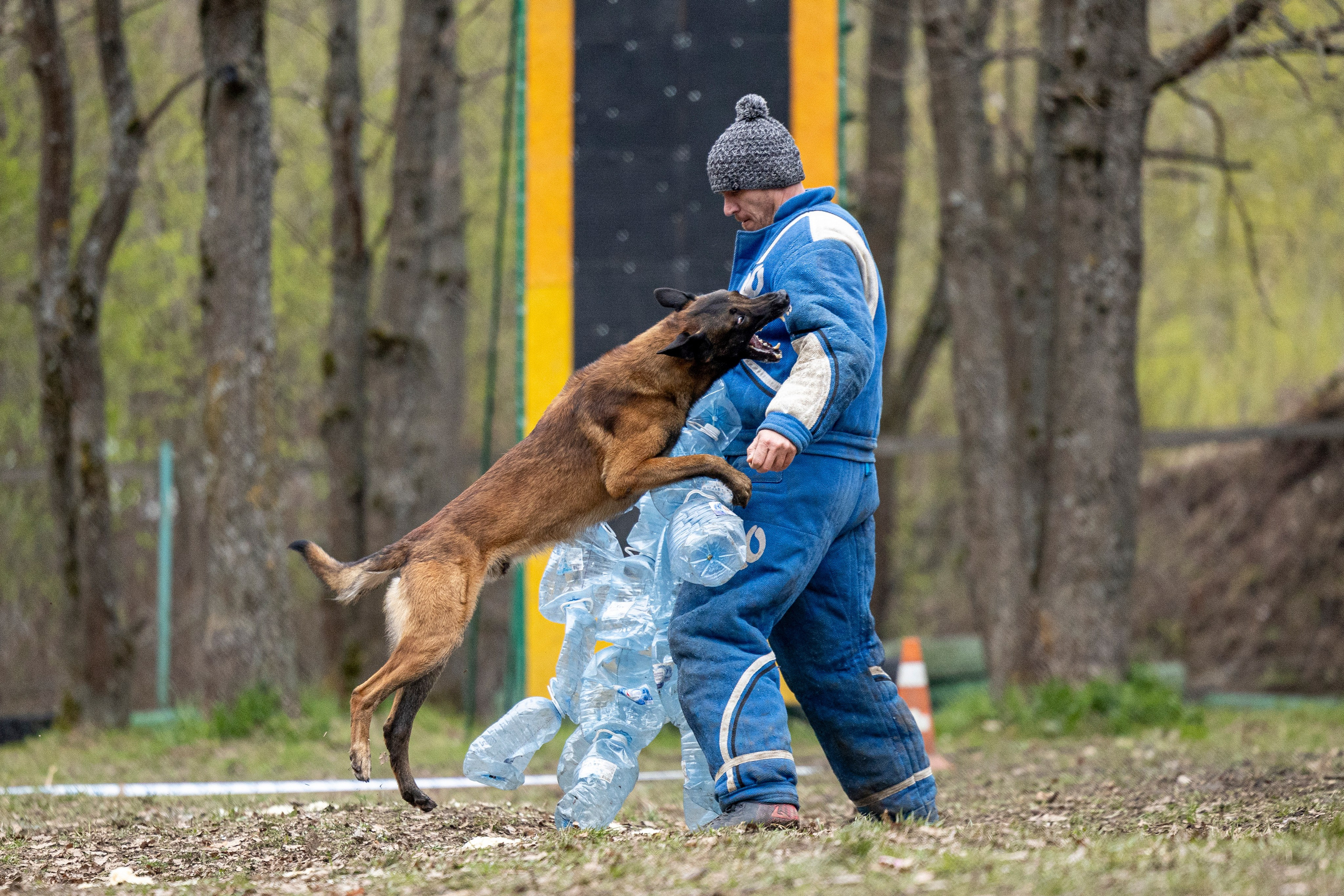 Квалификационные состязания по мондьорингу г. Вологда 11.05.24. Фотограф-анималист Анна Маринич