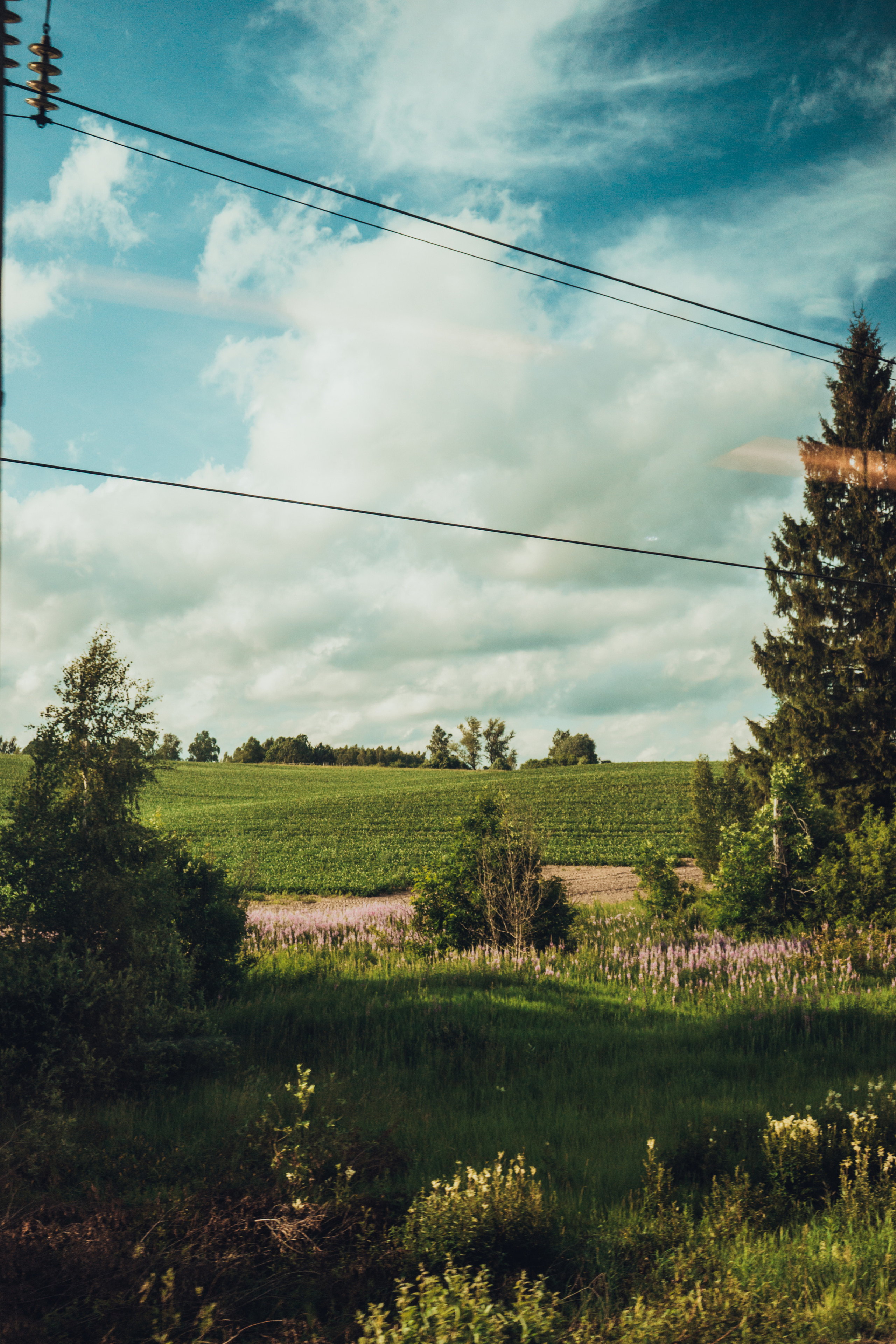 Стрит 2023-2024. KiPPER Gallery — Фотограф