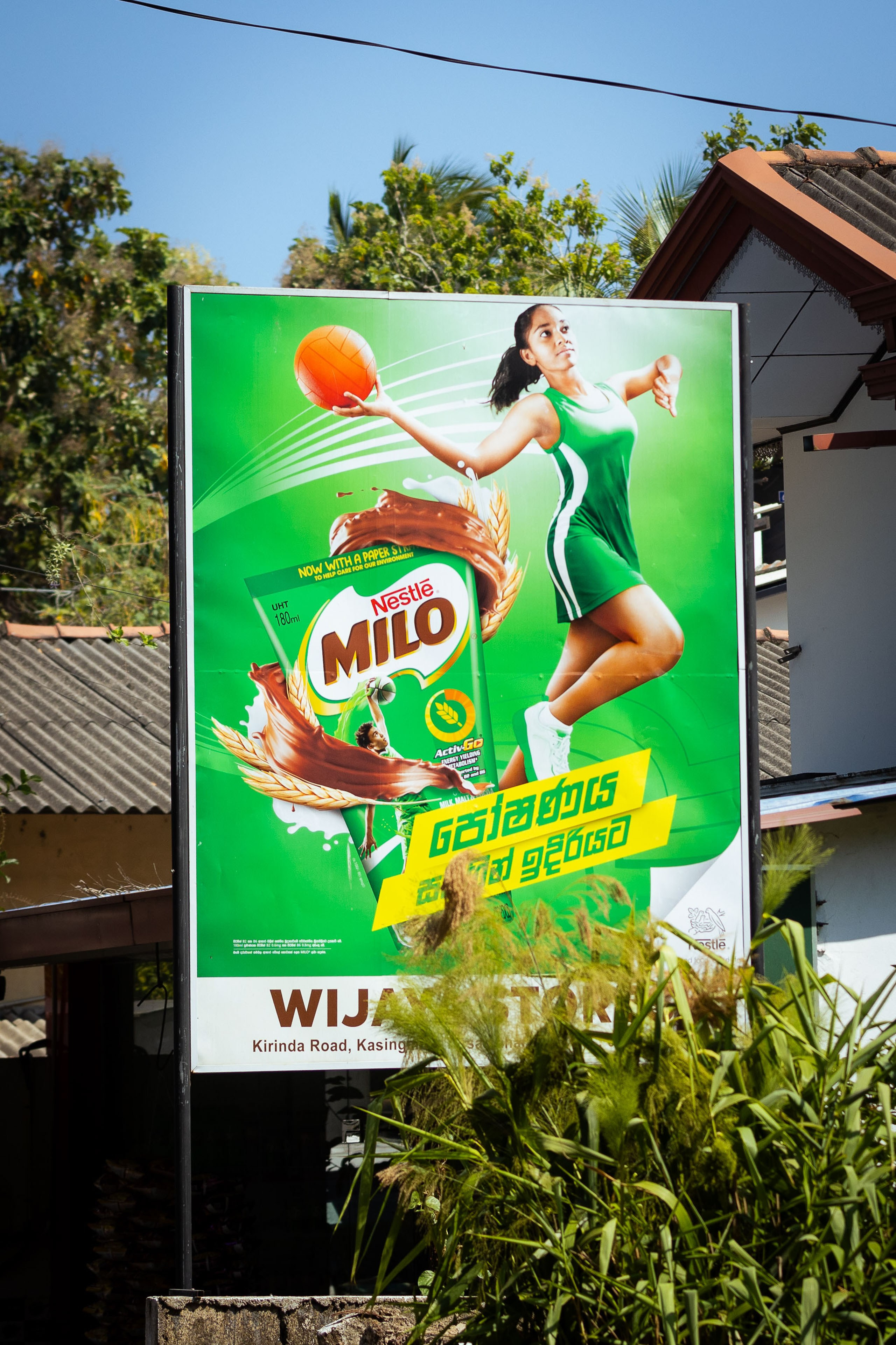 Шри-Ланка (весна 2024). Фотограф Виноградов Константин