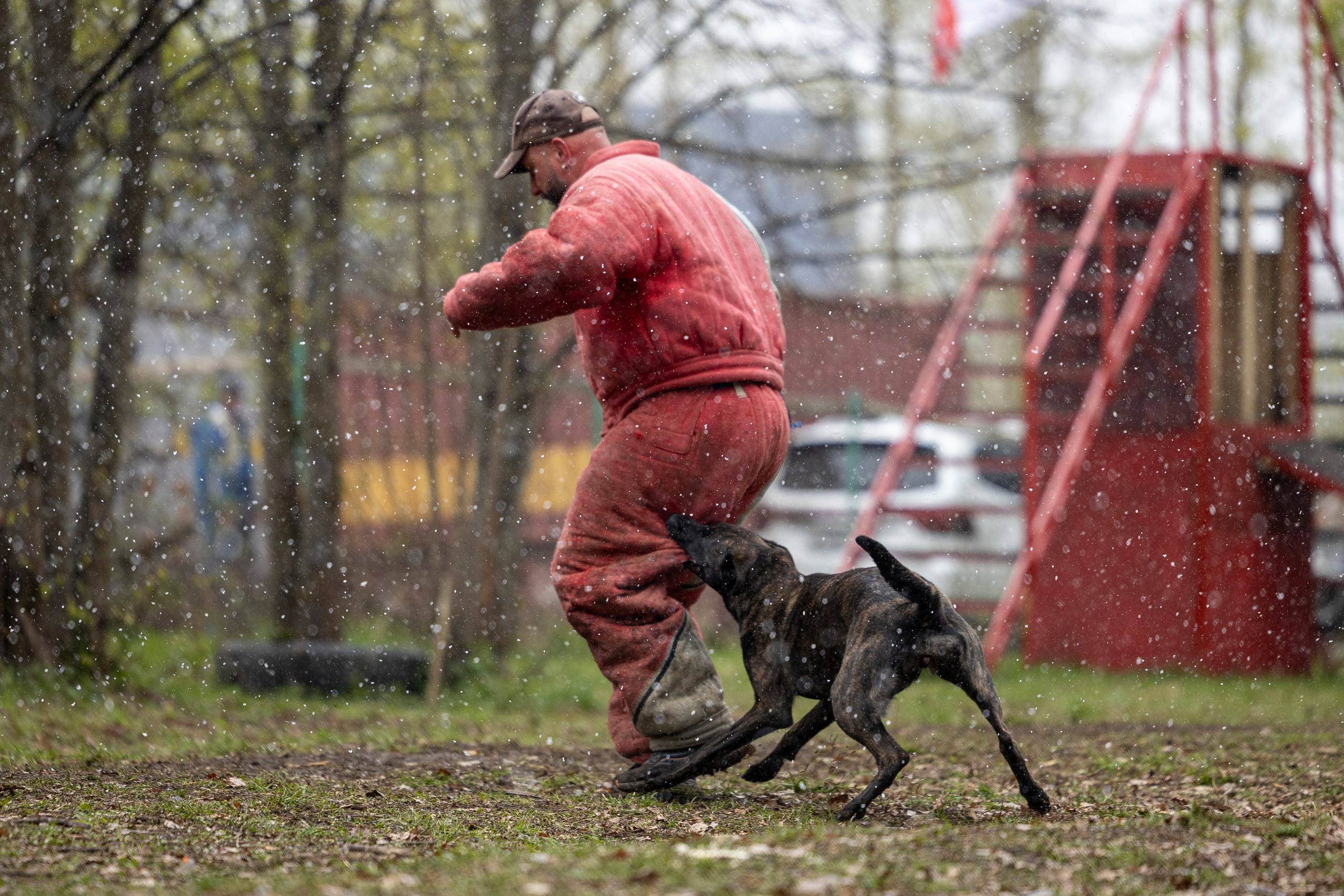 Квалификационные состязания по мондьорингу г. Вологда 11.05.24. Фотограф-анималист Анна Маринич
