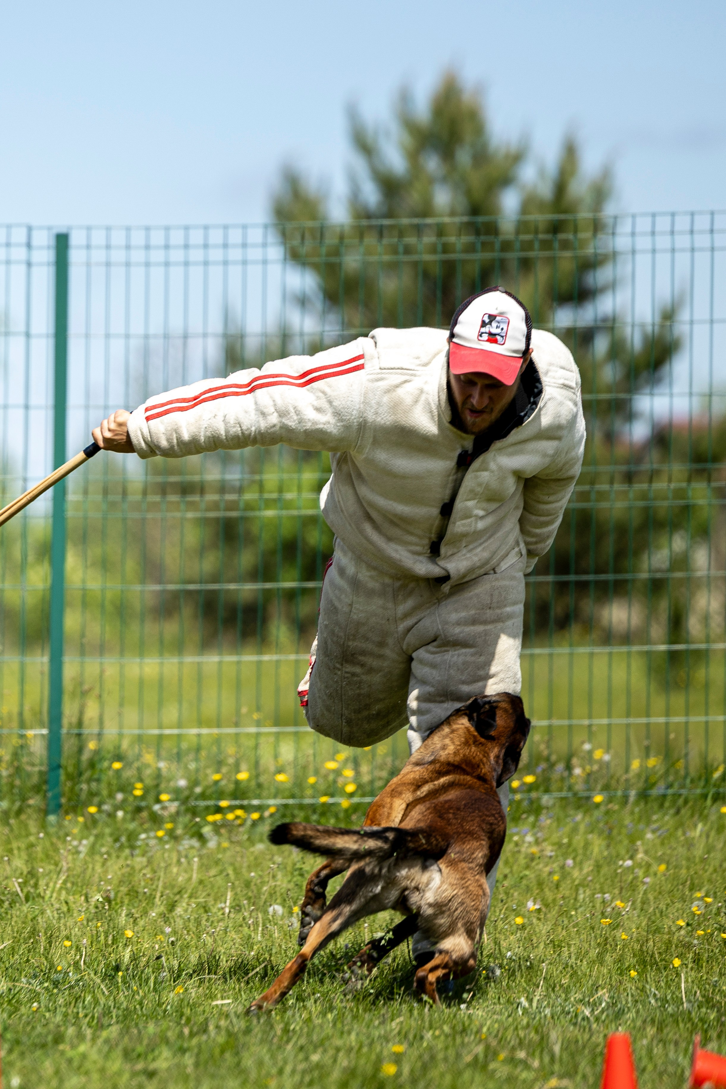 Испытания по мондьорингу в Нижнем Новгороде. Фотограф-анималист Анна Маринич