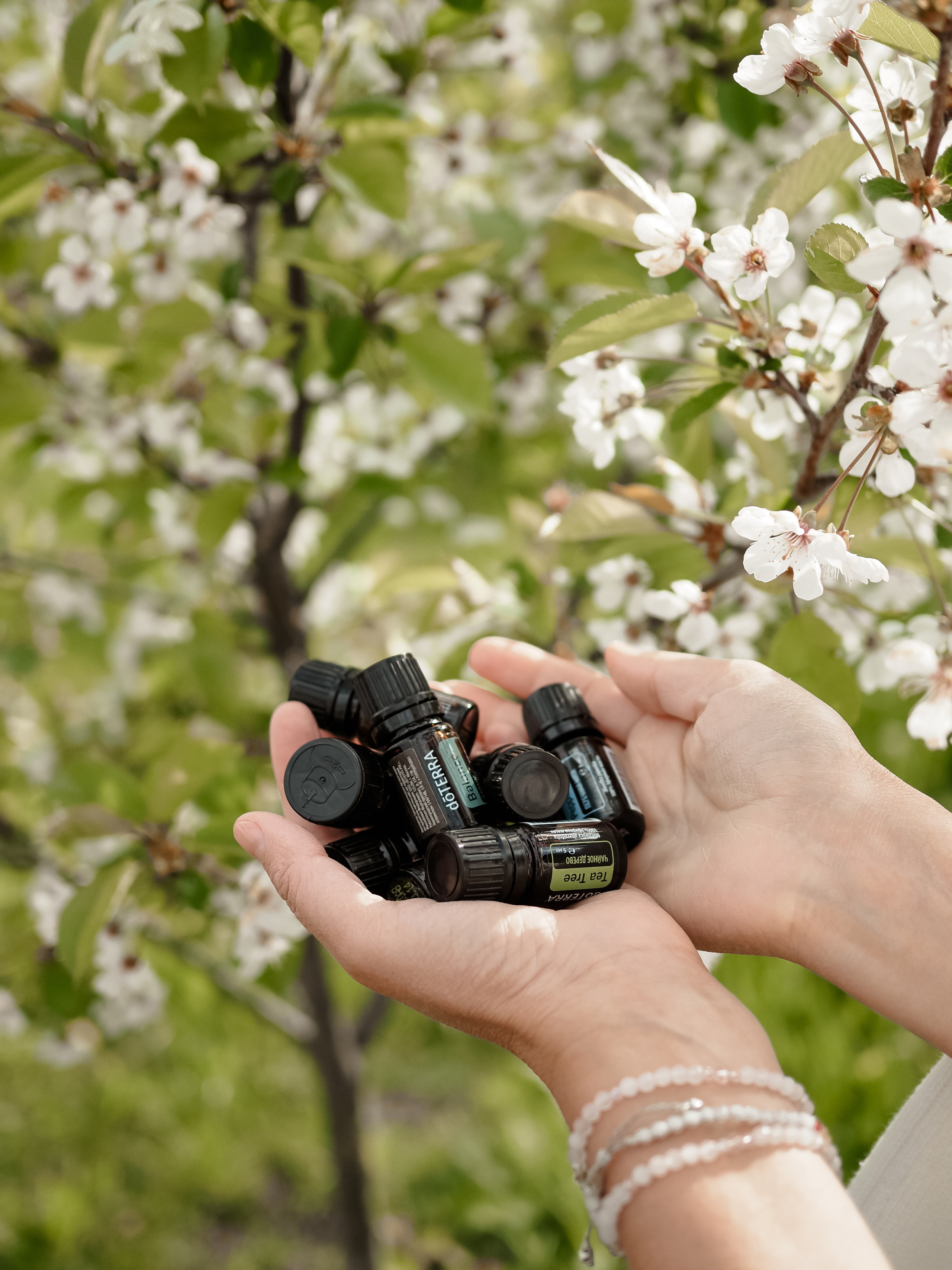 История. Фотограф Рязань. Семейный Свадебный фотограф
