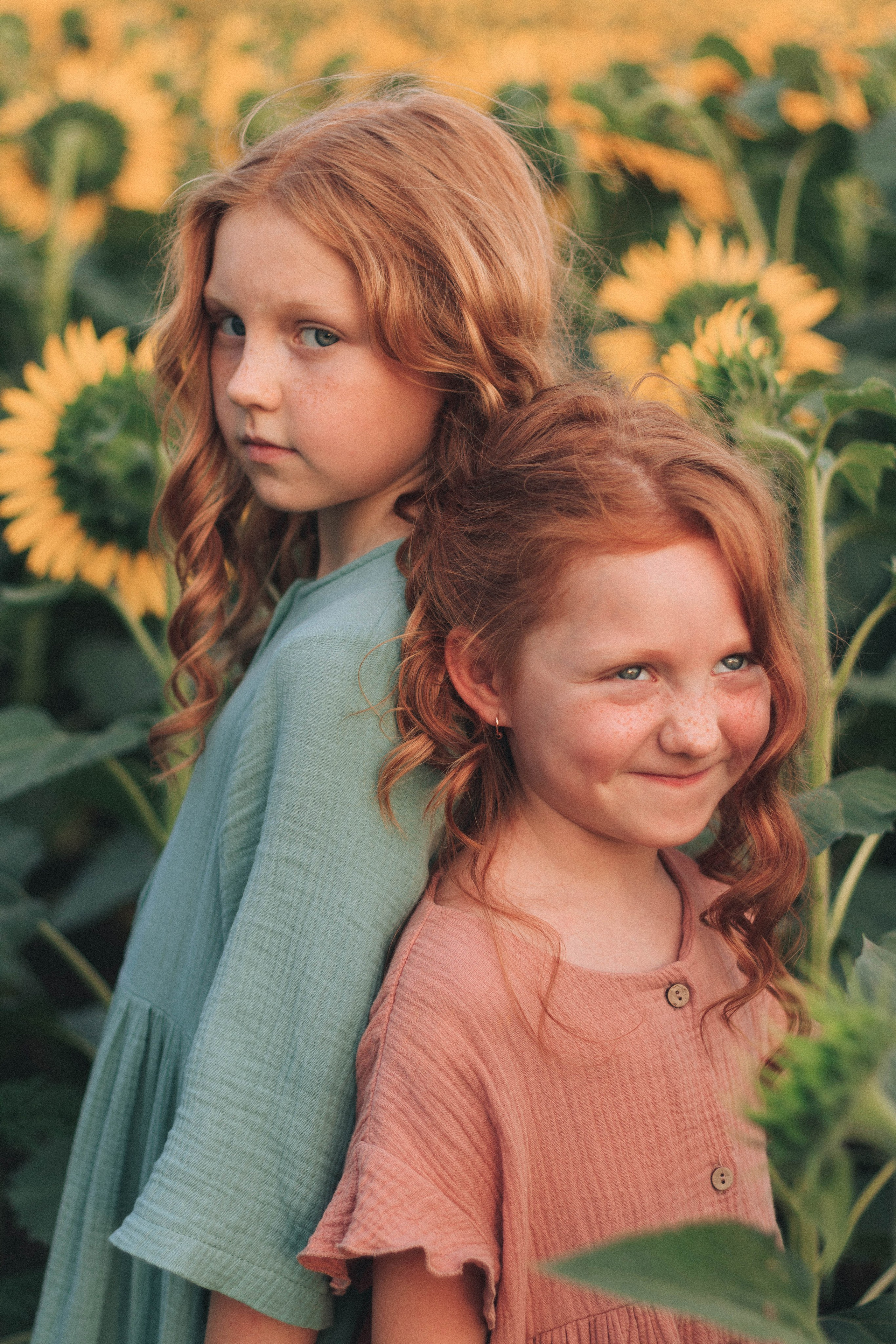 В подсолнухах. Фотограф в Краснодаре Ксения Мархинина