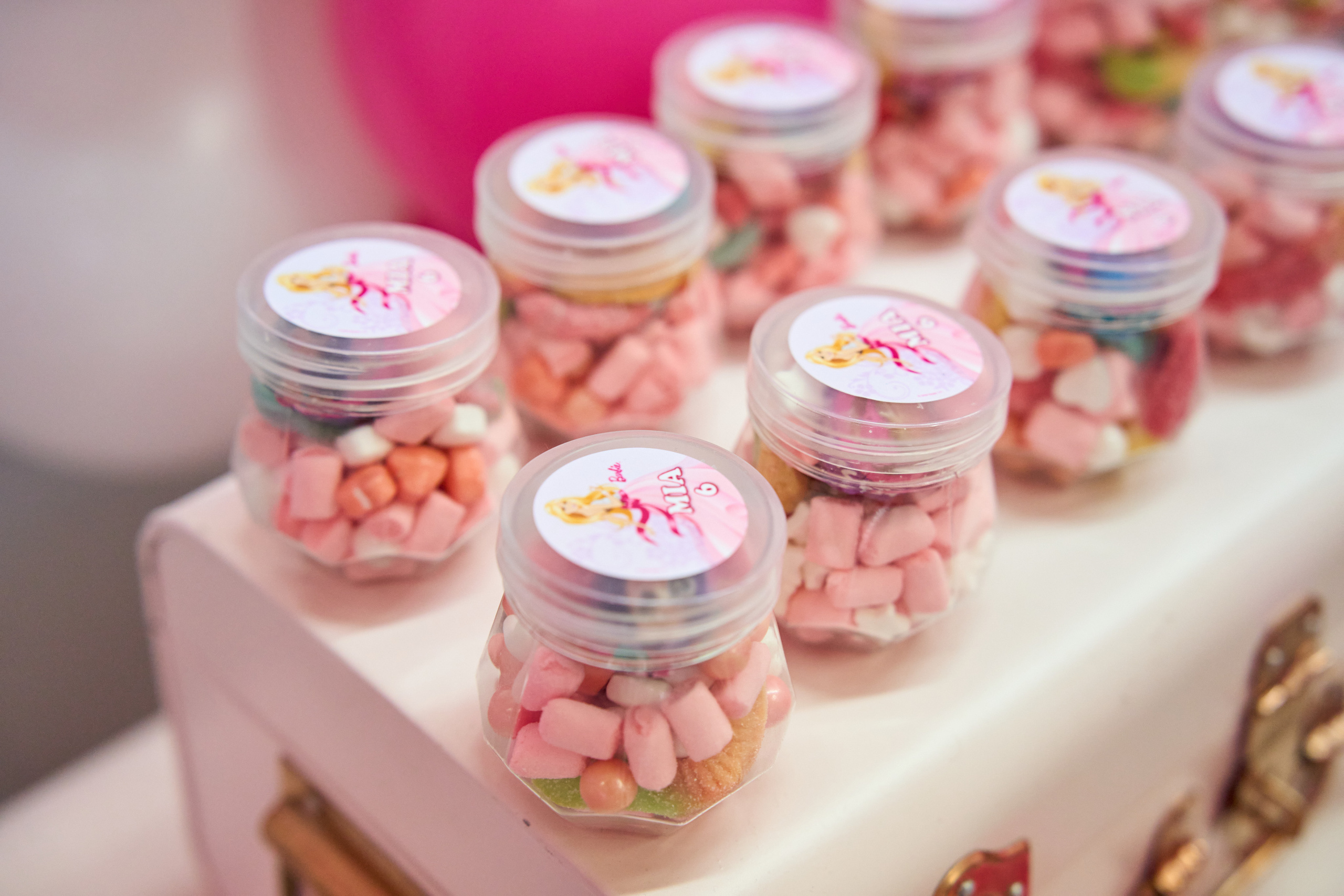 BARBIE BIRTHDAY PARTY. Brand photographer Moscow