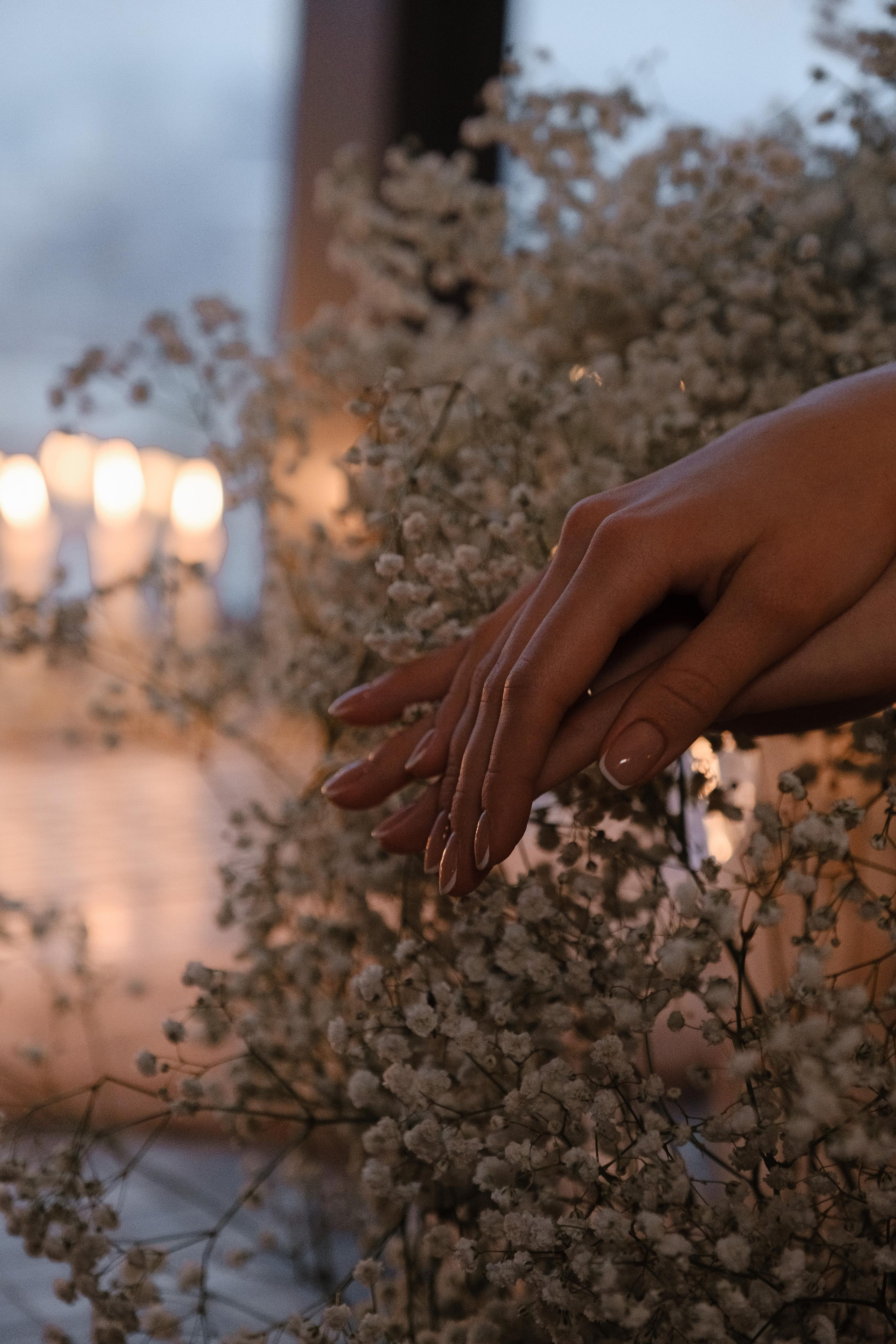 А & М. Свадебный фотограф в Спб и Москве