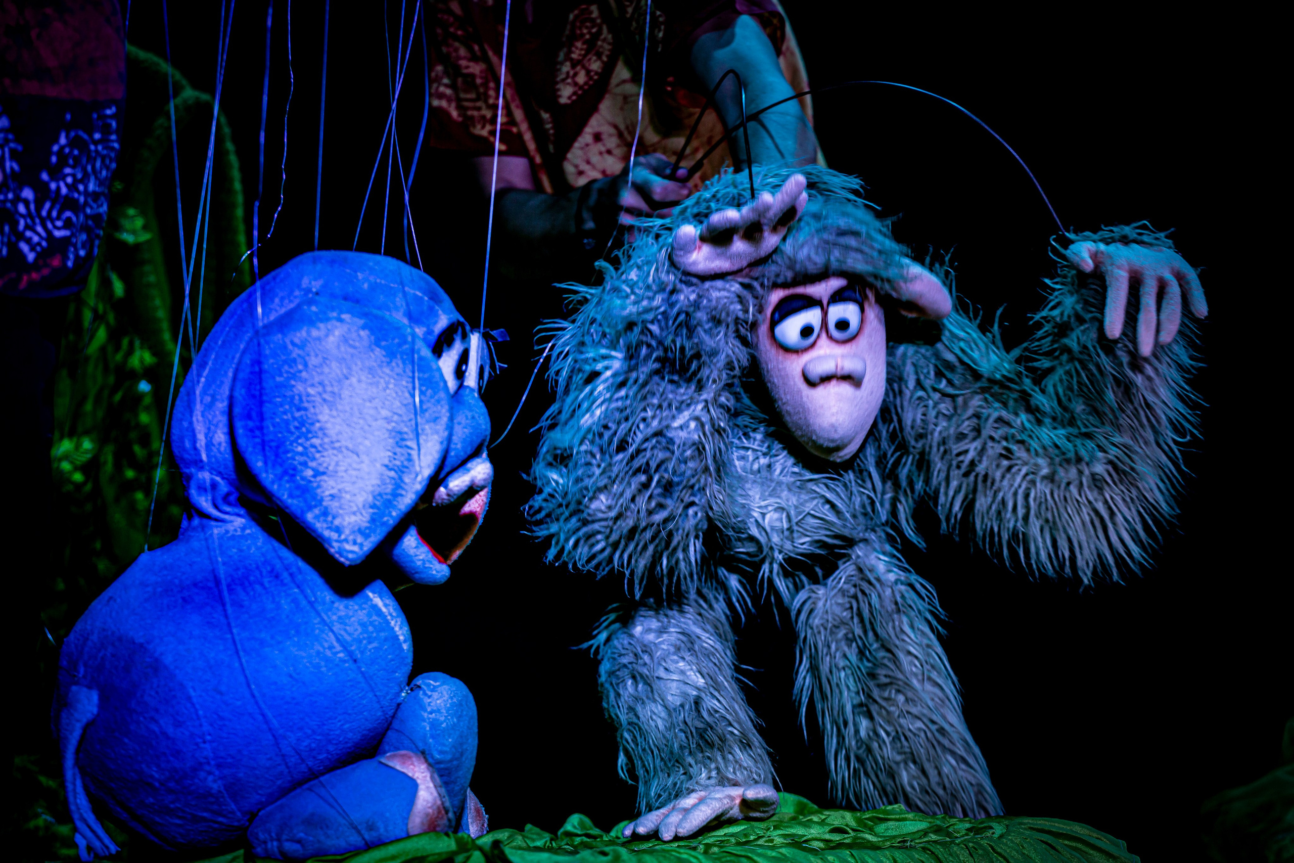 Любопытный слоненок спектакль театра Саквояж. Фотограф в Сочи Юрий Шептаев