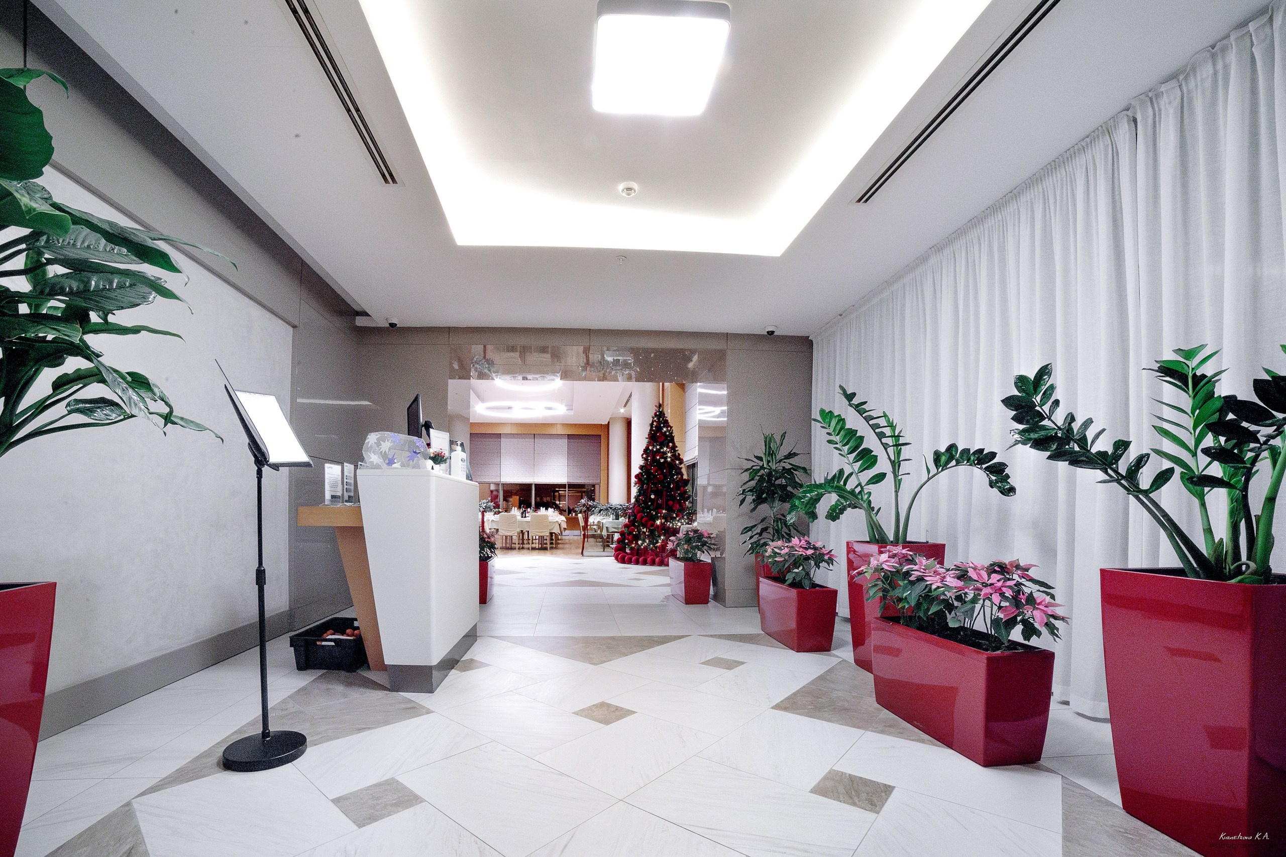 Репортажная съемка. Репортажный фотограф Кузнецова Кристина