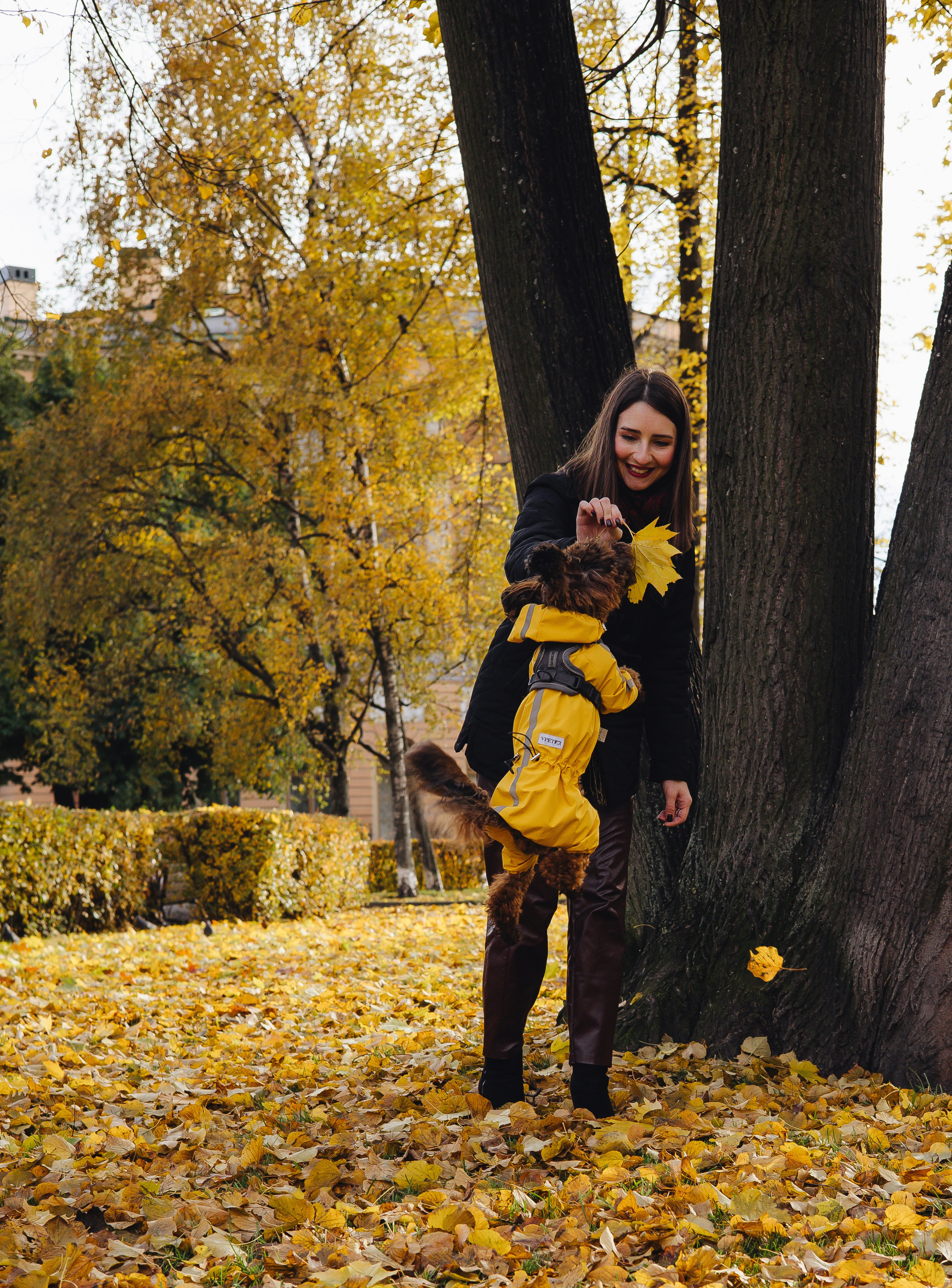 Летающая Мерси