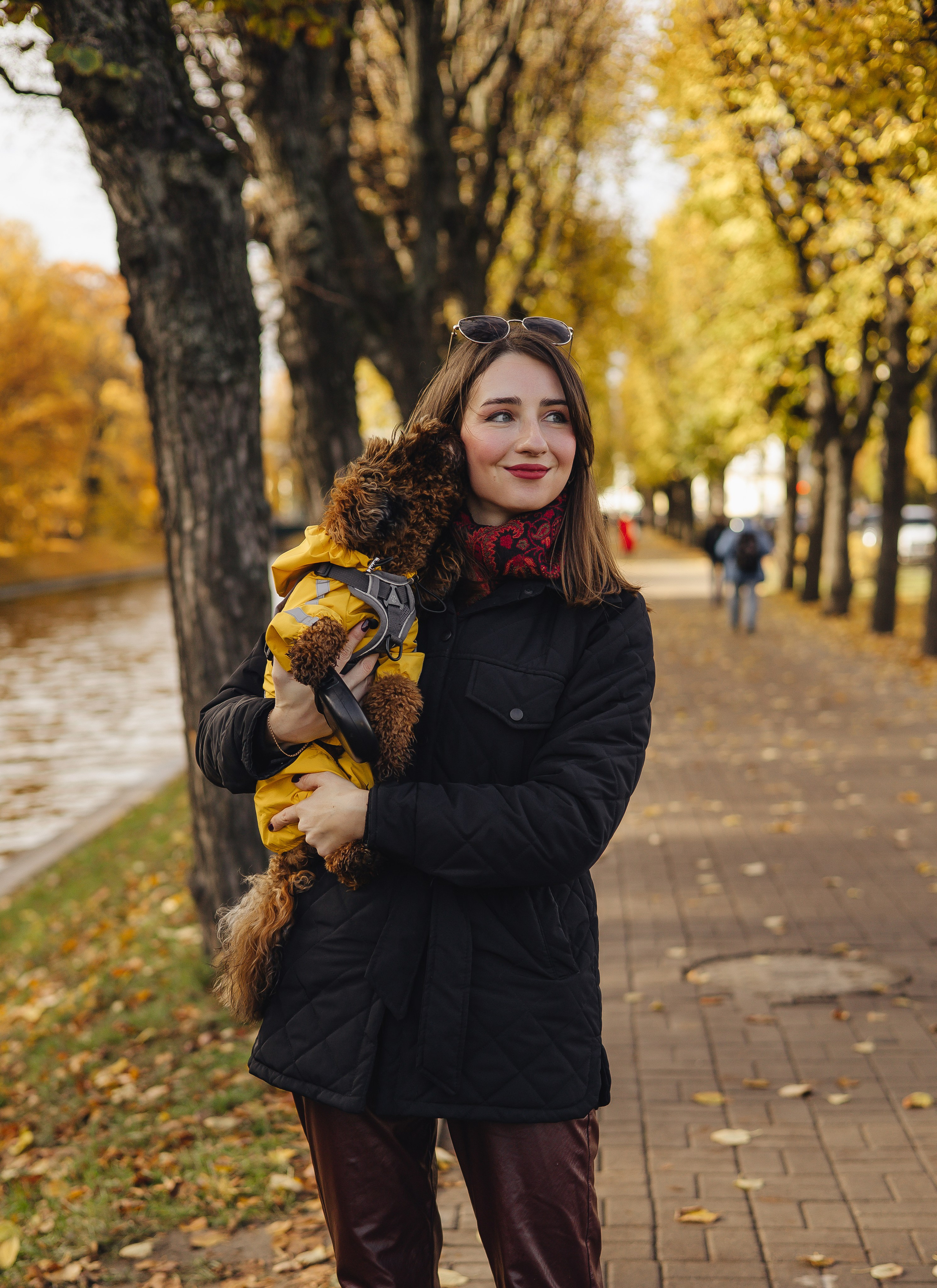 Летающая Мерси