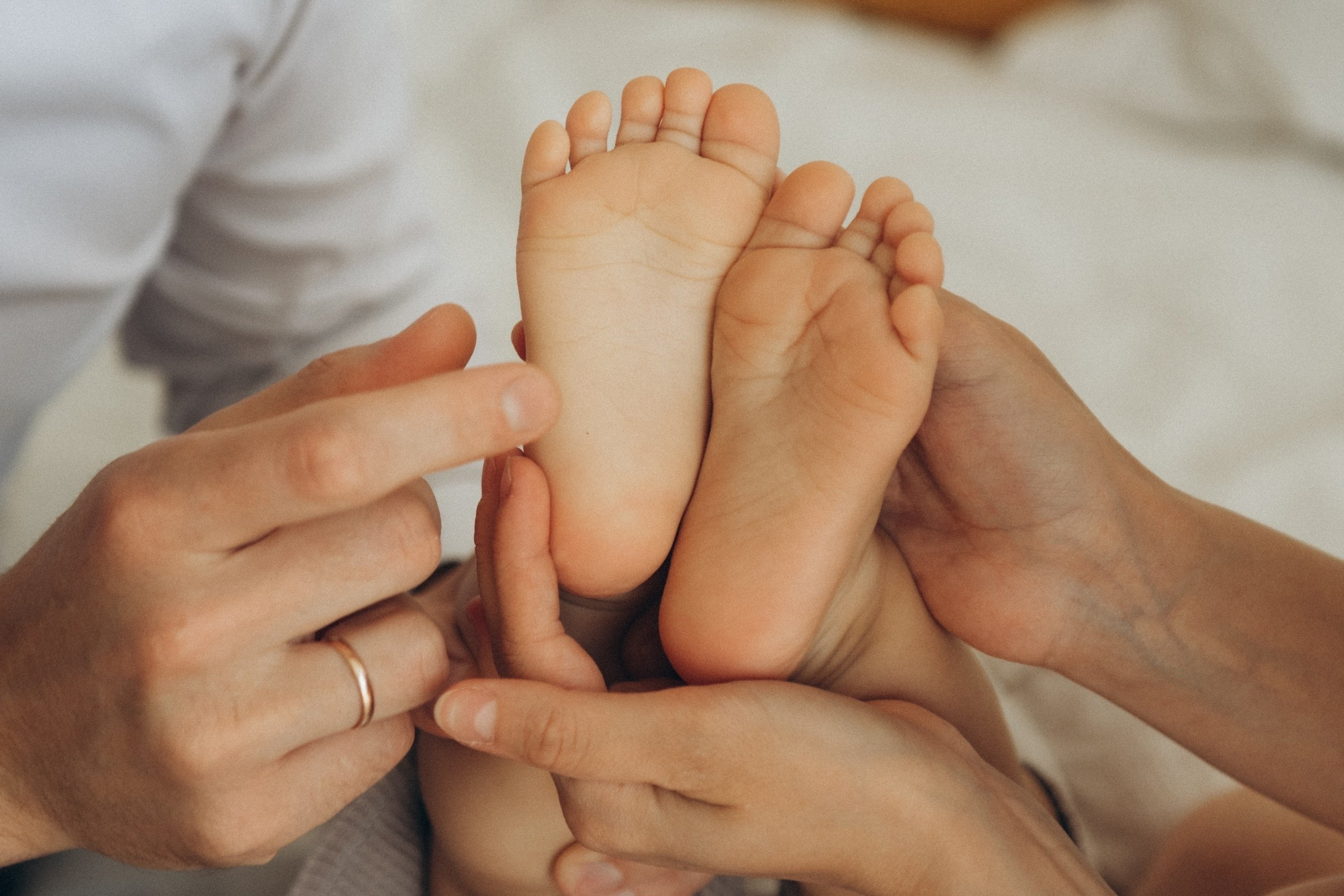 ㅤ. Фотограф Алена Малышева Вологда