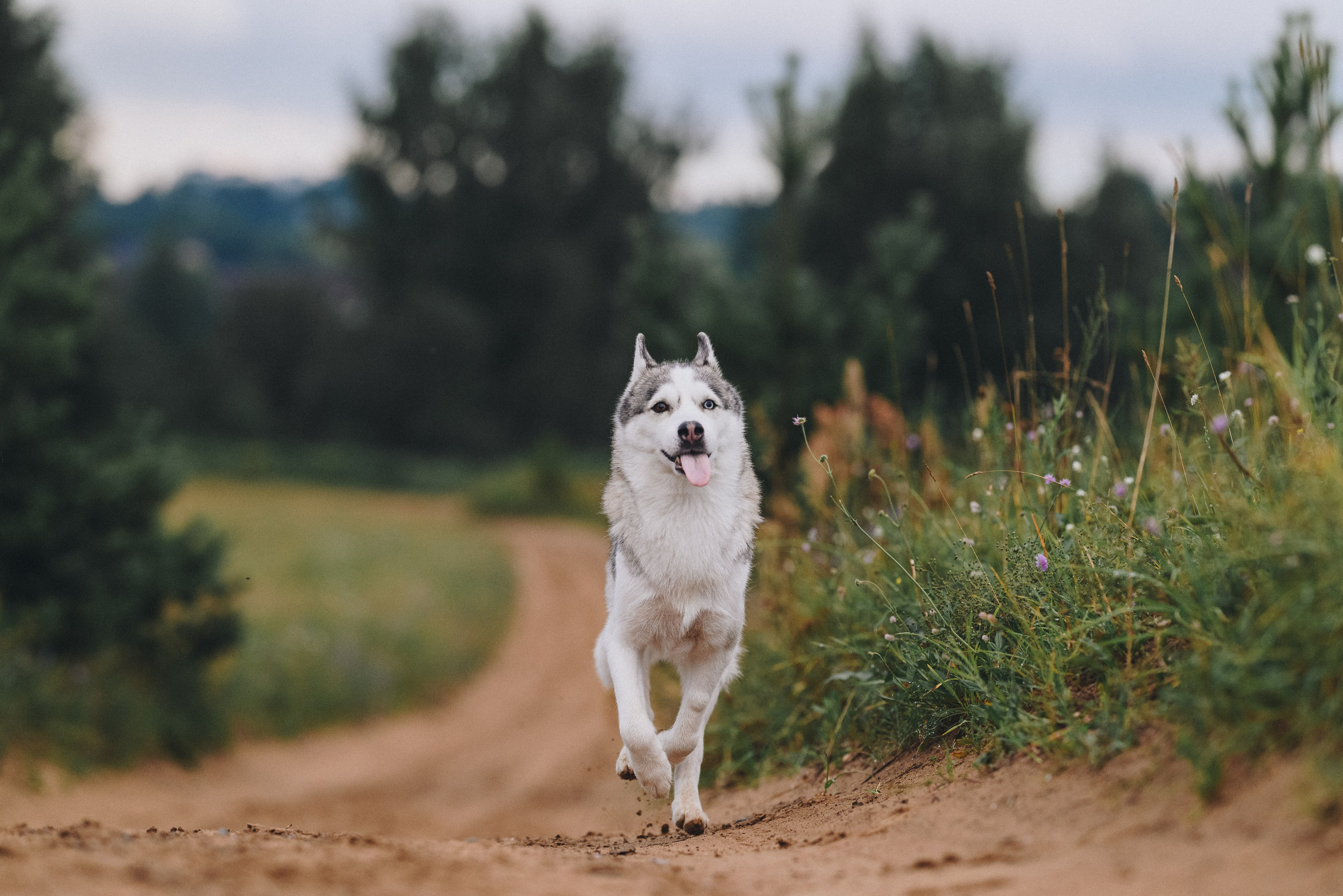 Lilya & Eva. Natalia Finch Photography — Family, Kids & Pet Photographer in Chicago, IL