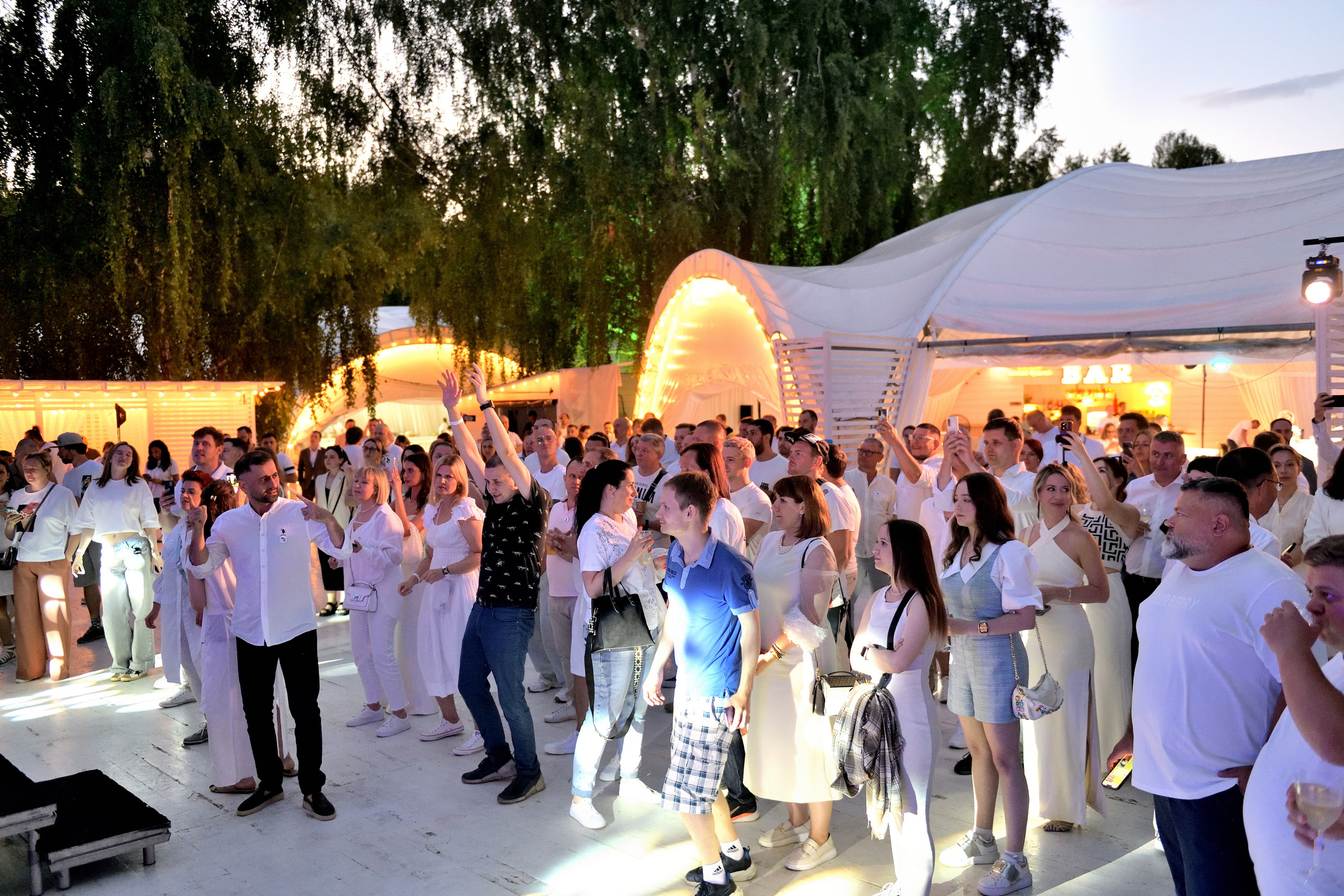  "Танцы на корпоративе в парке "Березы".