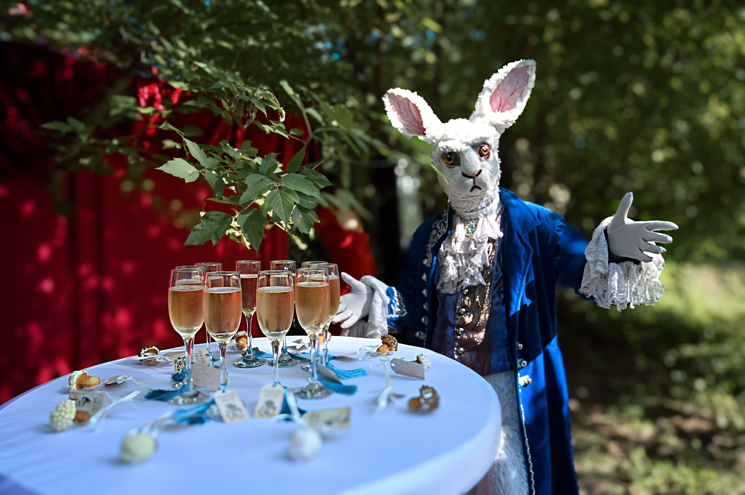 «Алиса в стране чудес». ZDARONOKIA Репортажный фотограф