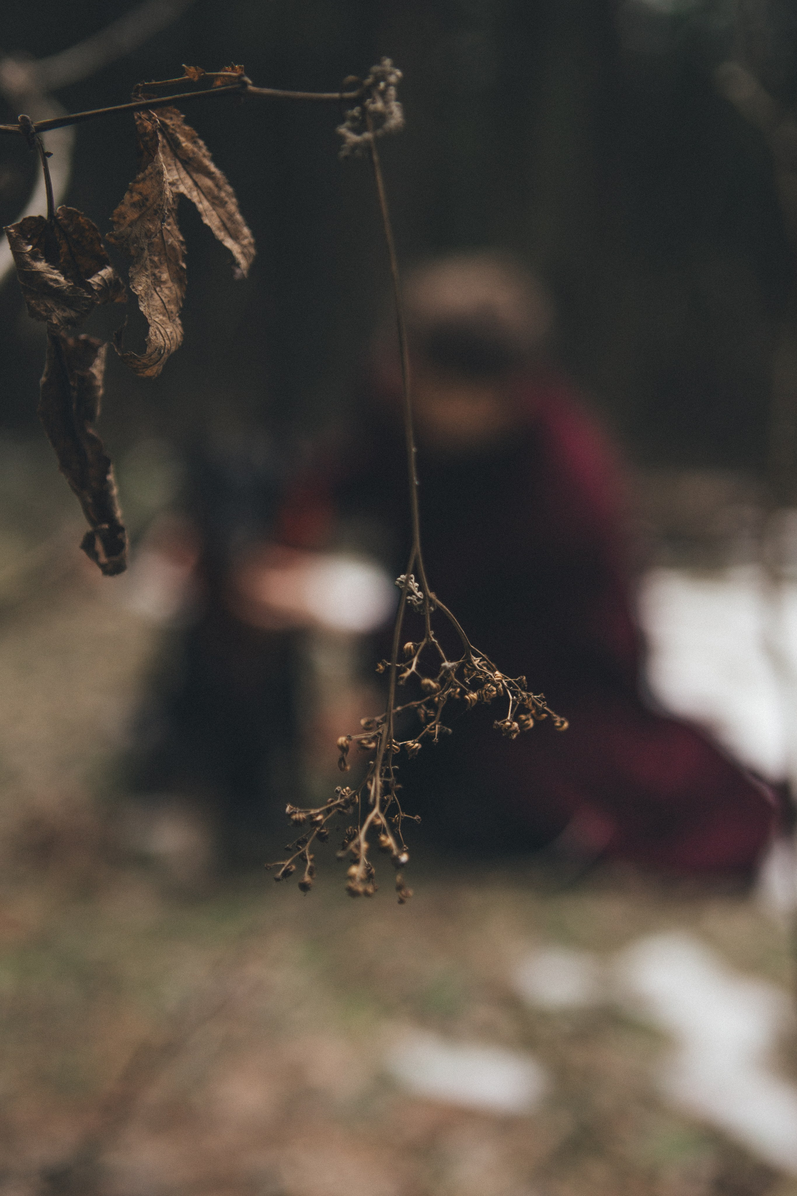 A cinematic tale of true love and unbreakable friendship between a man and a dog. Portrait, family and pet photographer in Cyprus, Ksenia Bourdelle
