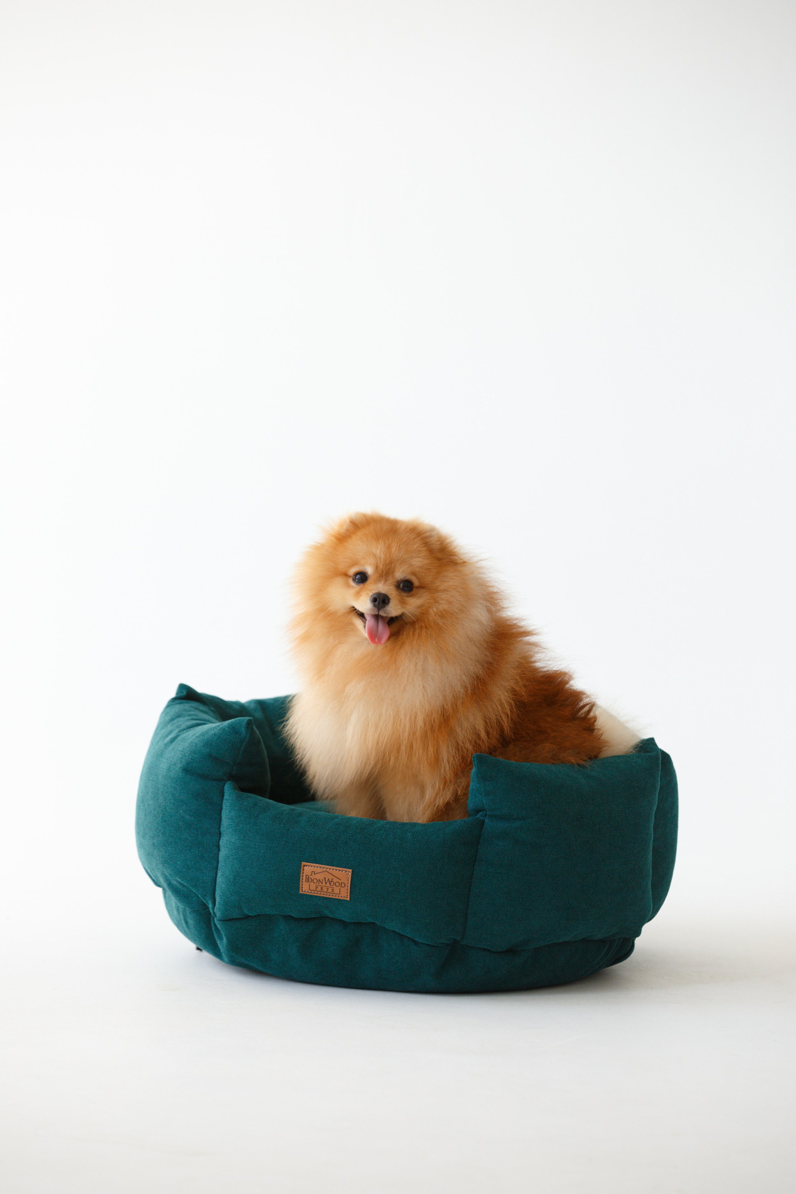 Boonwood Pets лежанки для животных. Фотограф анималист Кристина Карпова, Москва