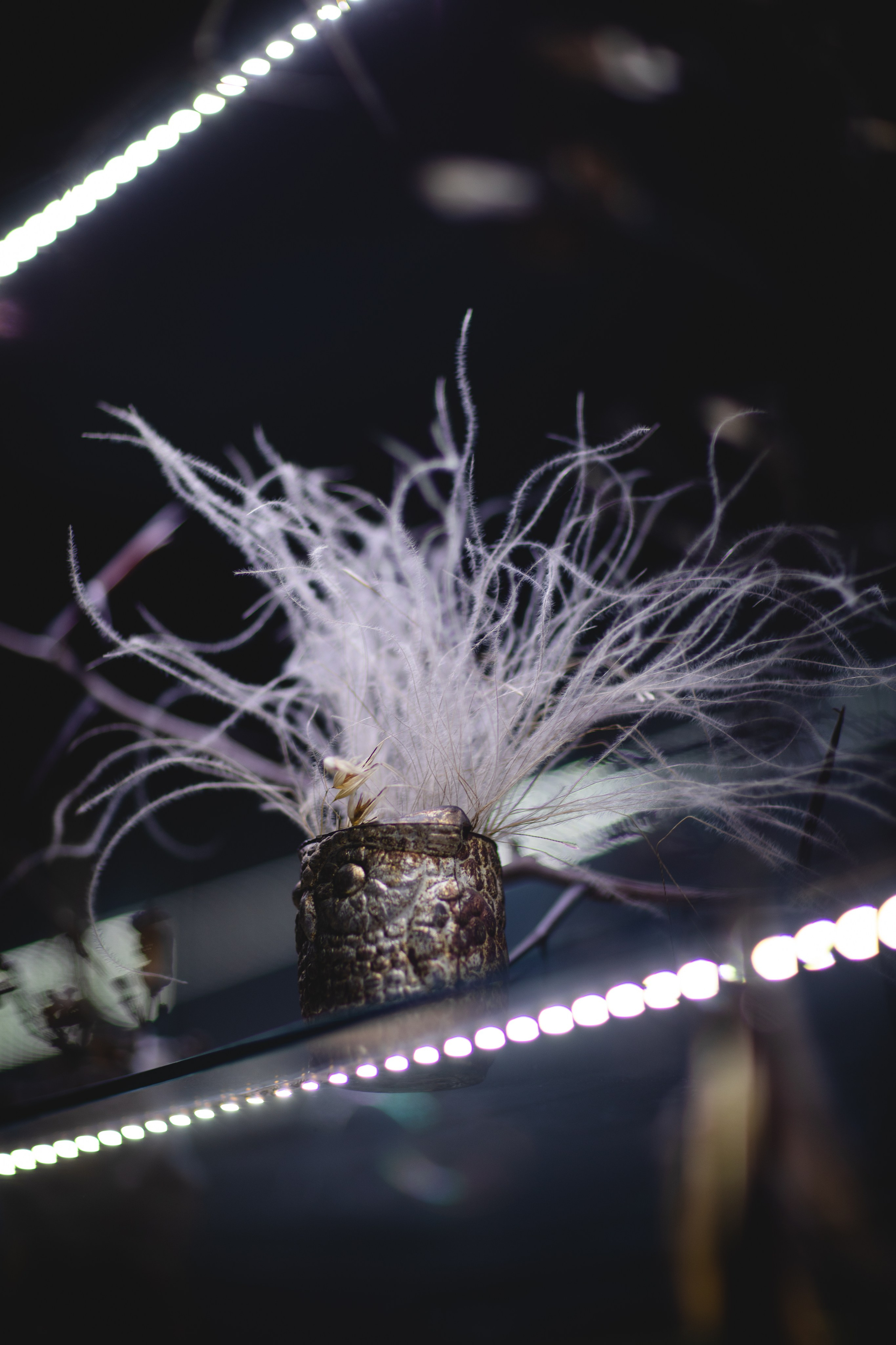 МАРТ-лавка красивых вещей). Семейный фотограф в Москве Анастасия Гурьянова