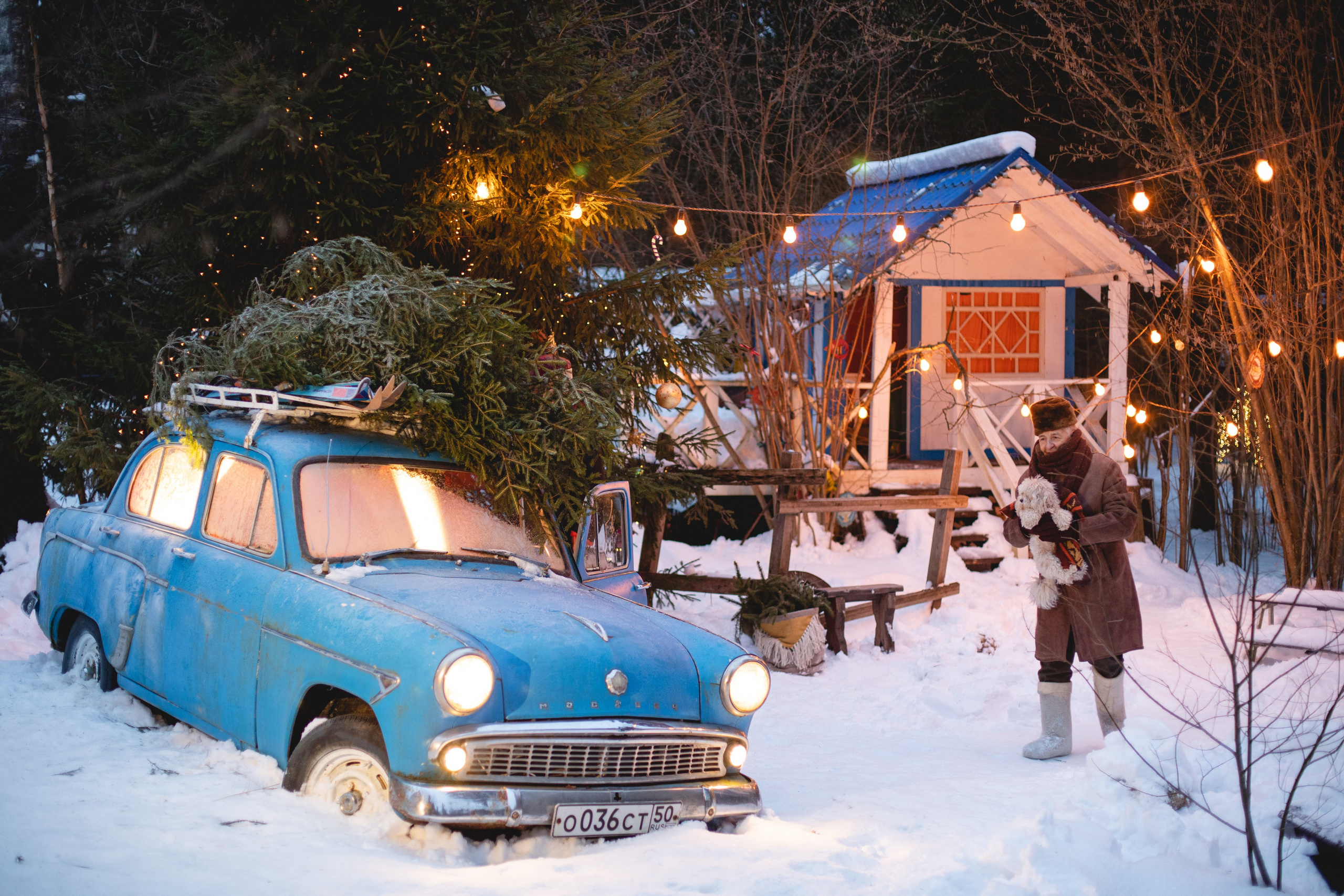 Домик в лесу. Семейный фотограф в Москве Анастасия Гурьянова