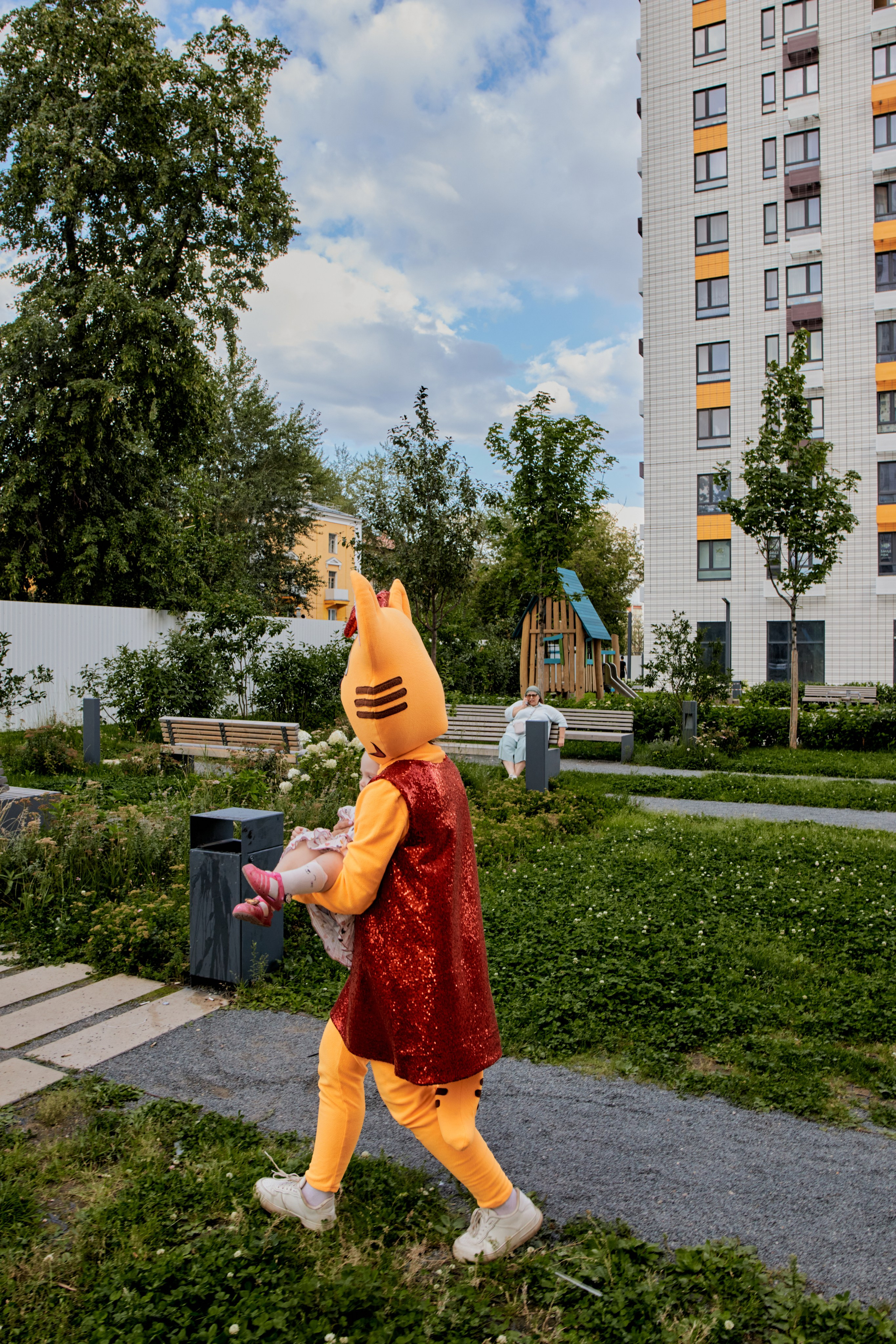 Три кота. Фотограф Москва