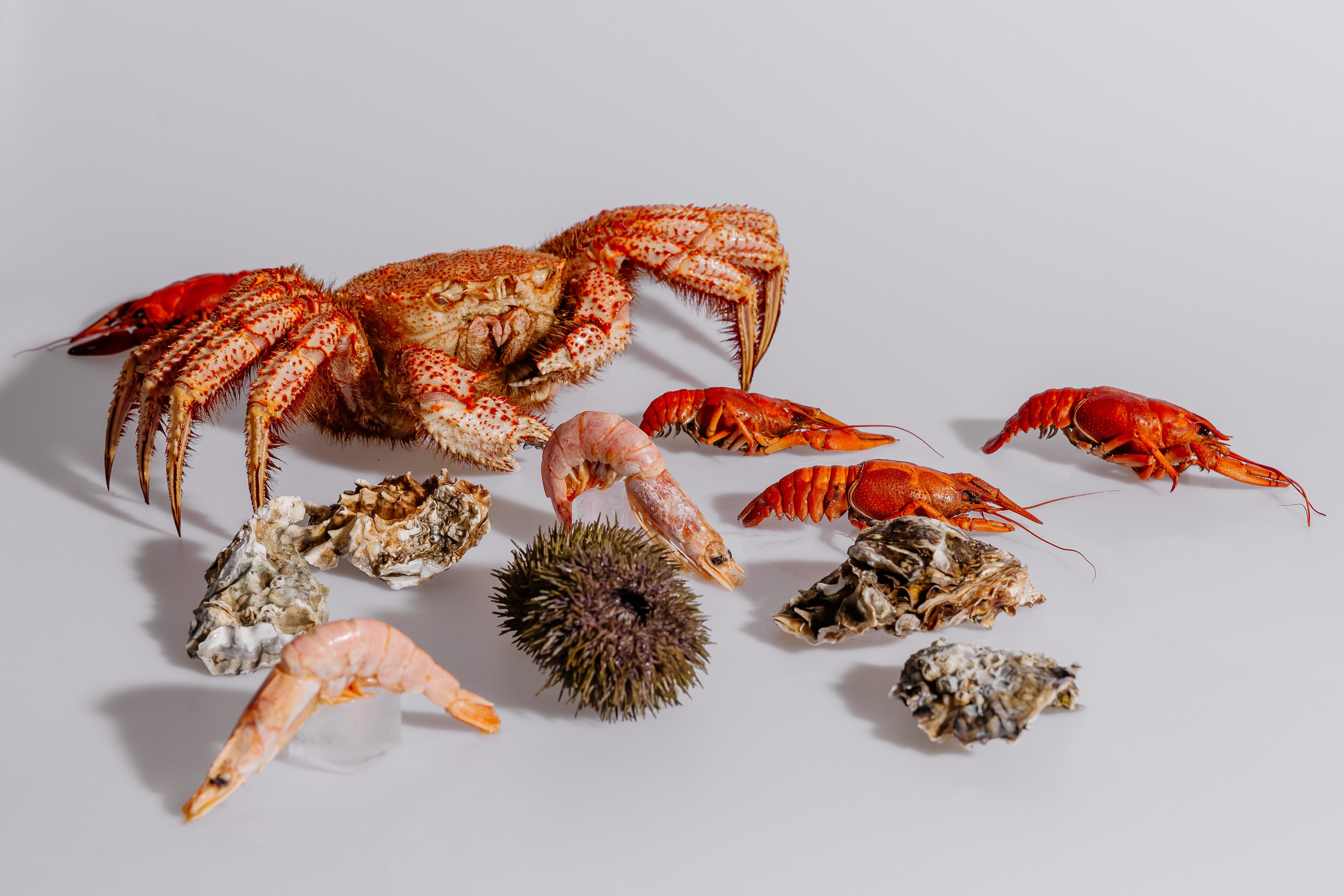 Splash.sea. Профессиональный фотограф Инесса Новикова в Москве