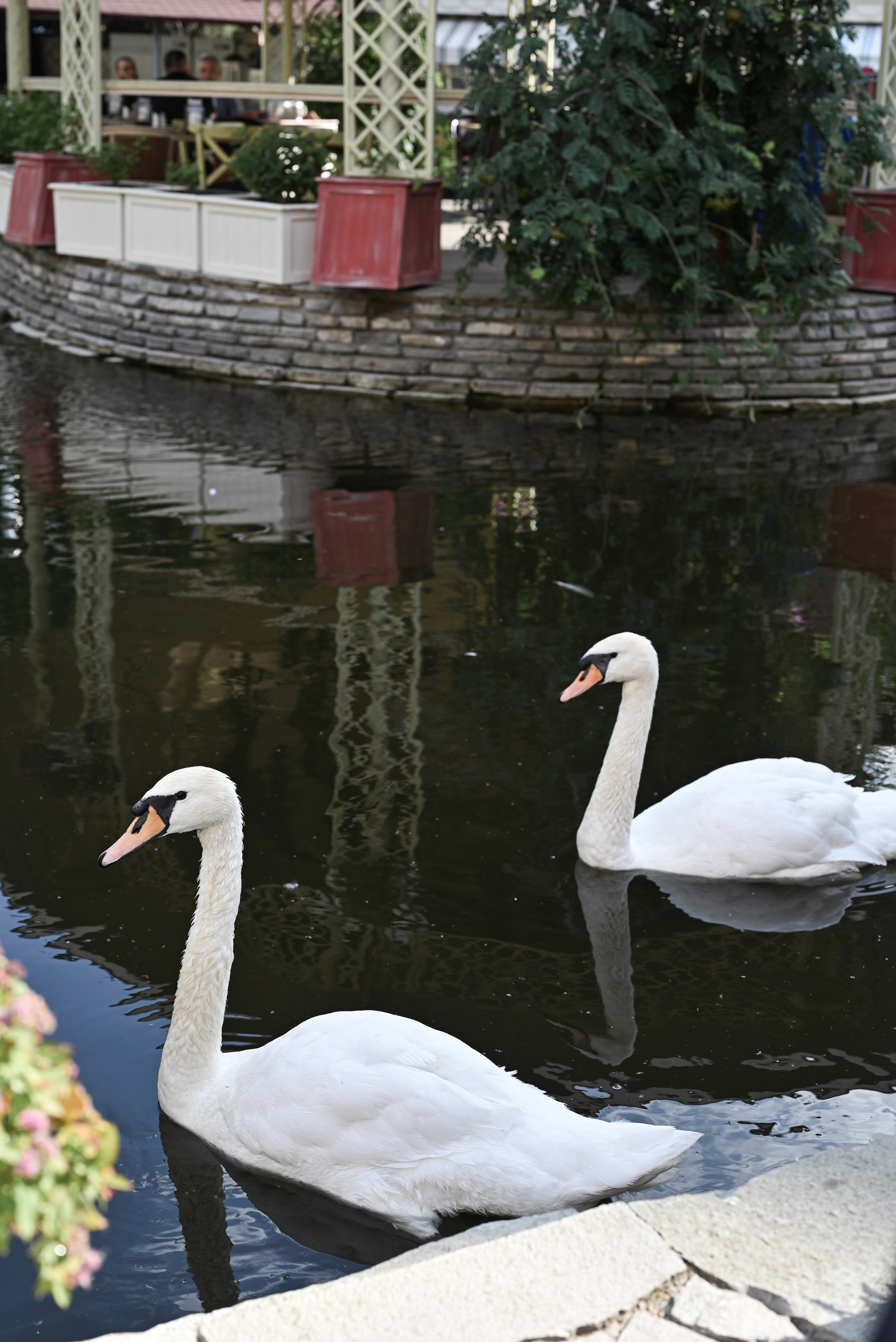 Данил и Татьяна. Свадебный и семейный фотограф в Уфе Александров Максим