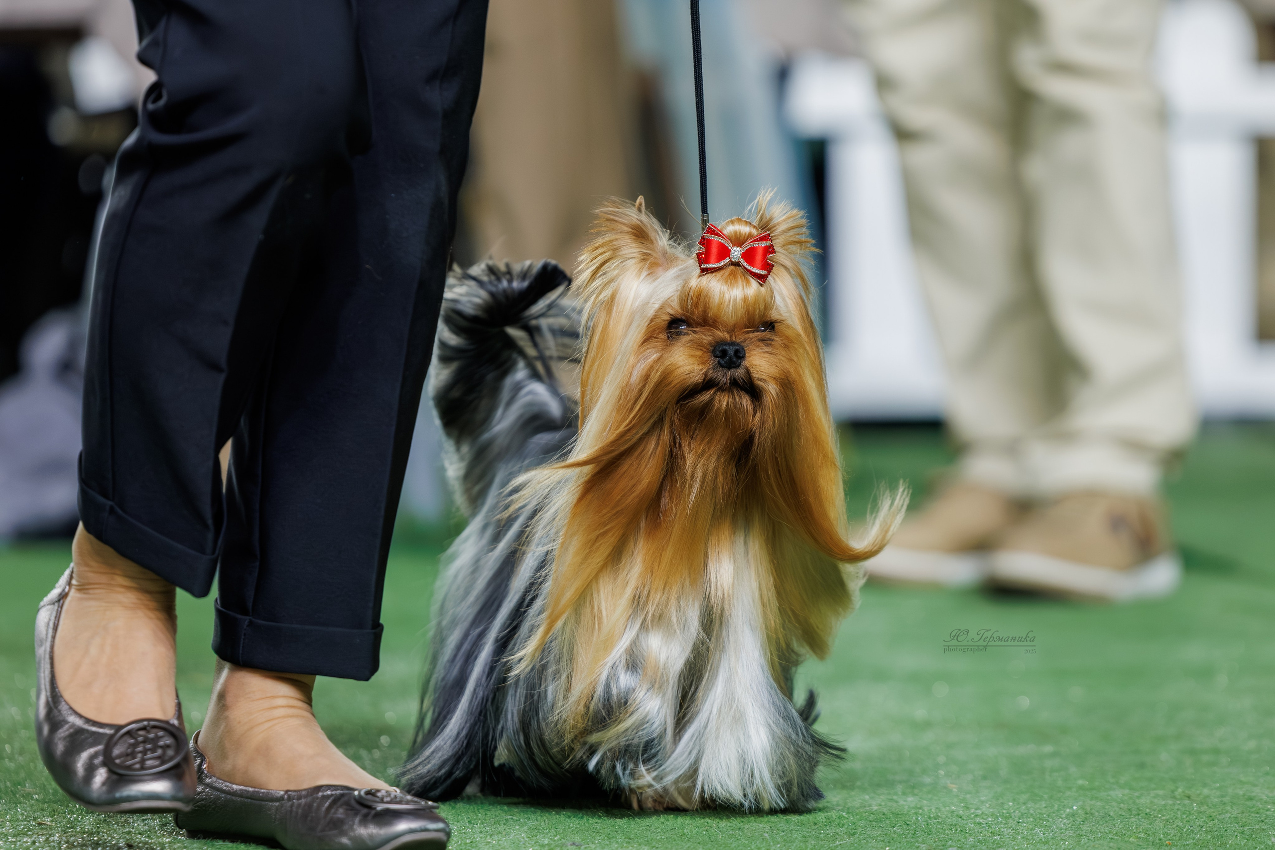 Телави 11-12.10.2025. Фотограф-анималист Юлия Германика