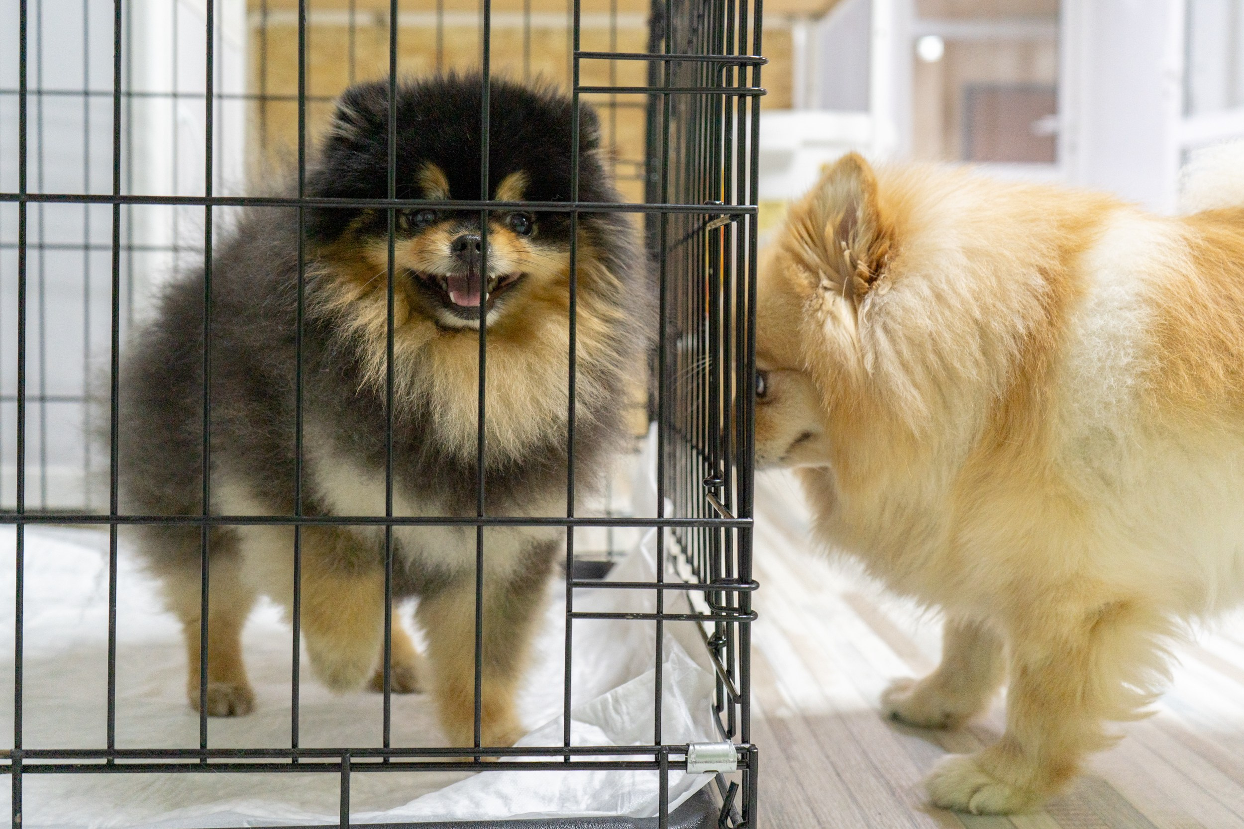 Гостиница. Фотограф Екатерина Зорина