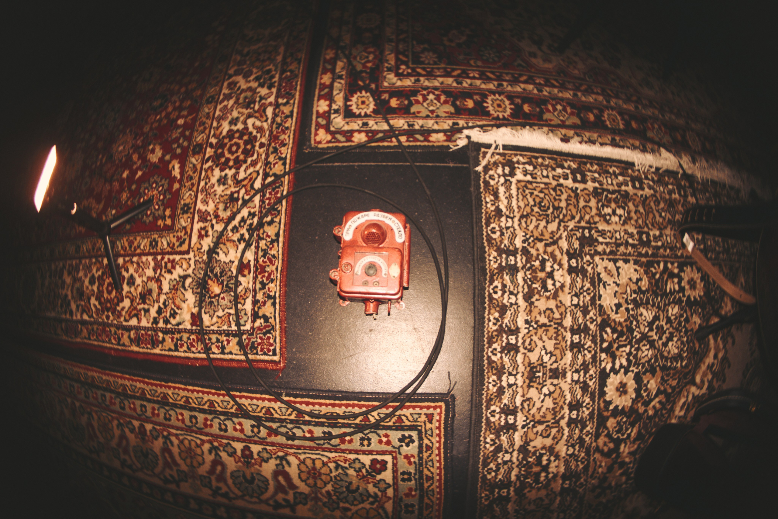 Голова Муэссы/Параметрика — Запись Ретроградного Меркурия. Фотография для артистов