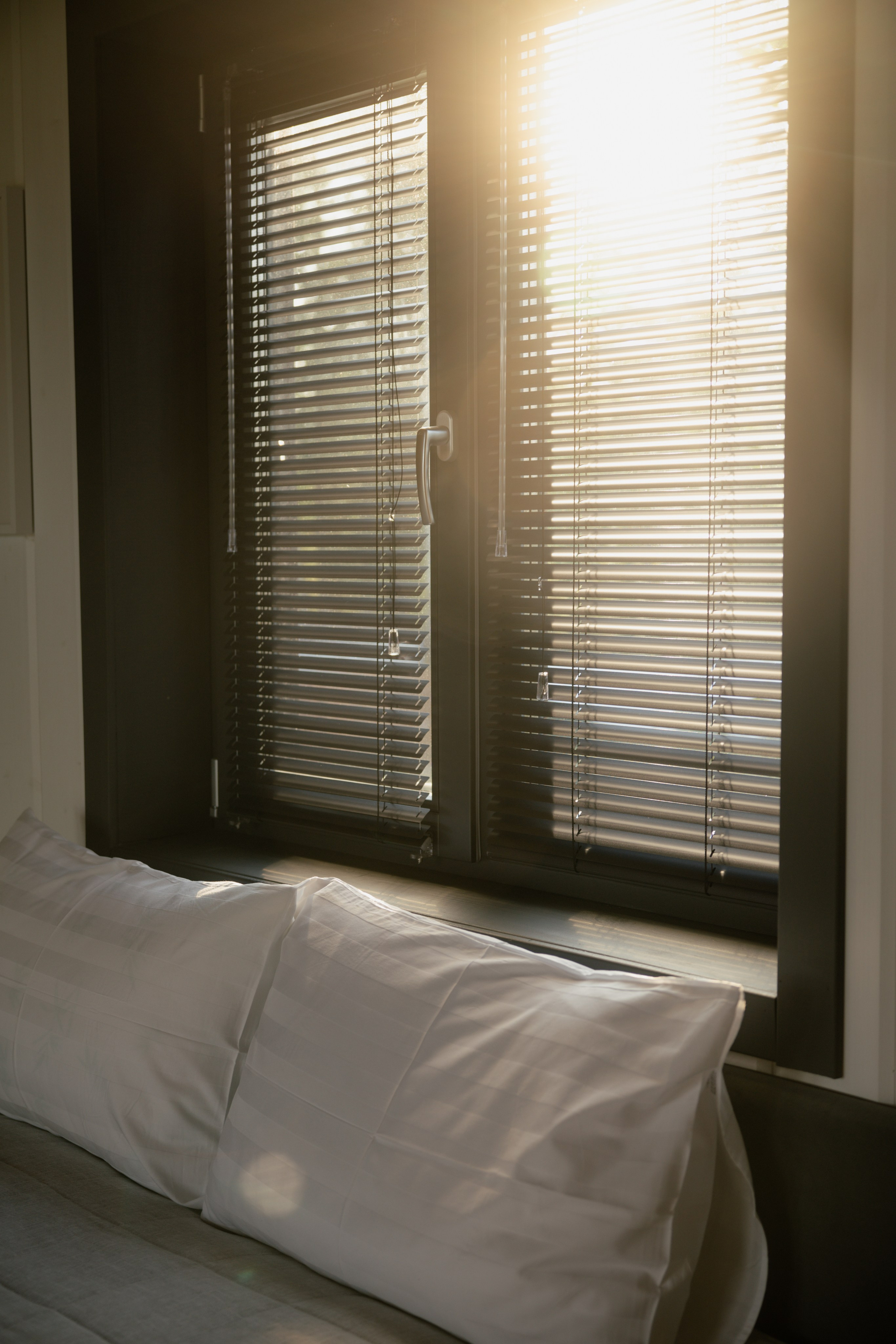 База отдыха. Фотограф и видеограф Мария Банщикова, Солнечногорск, Москва