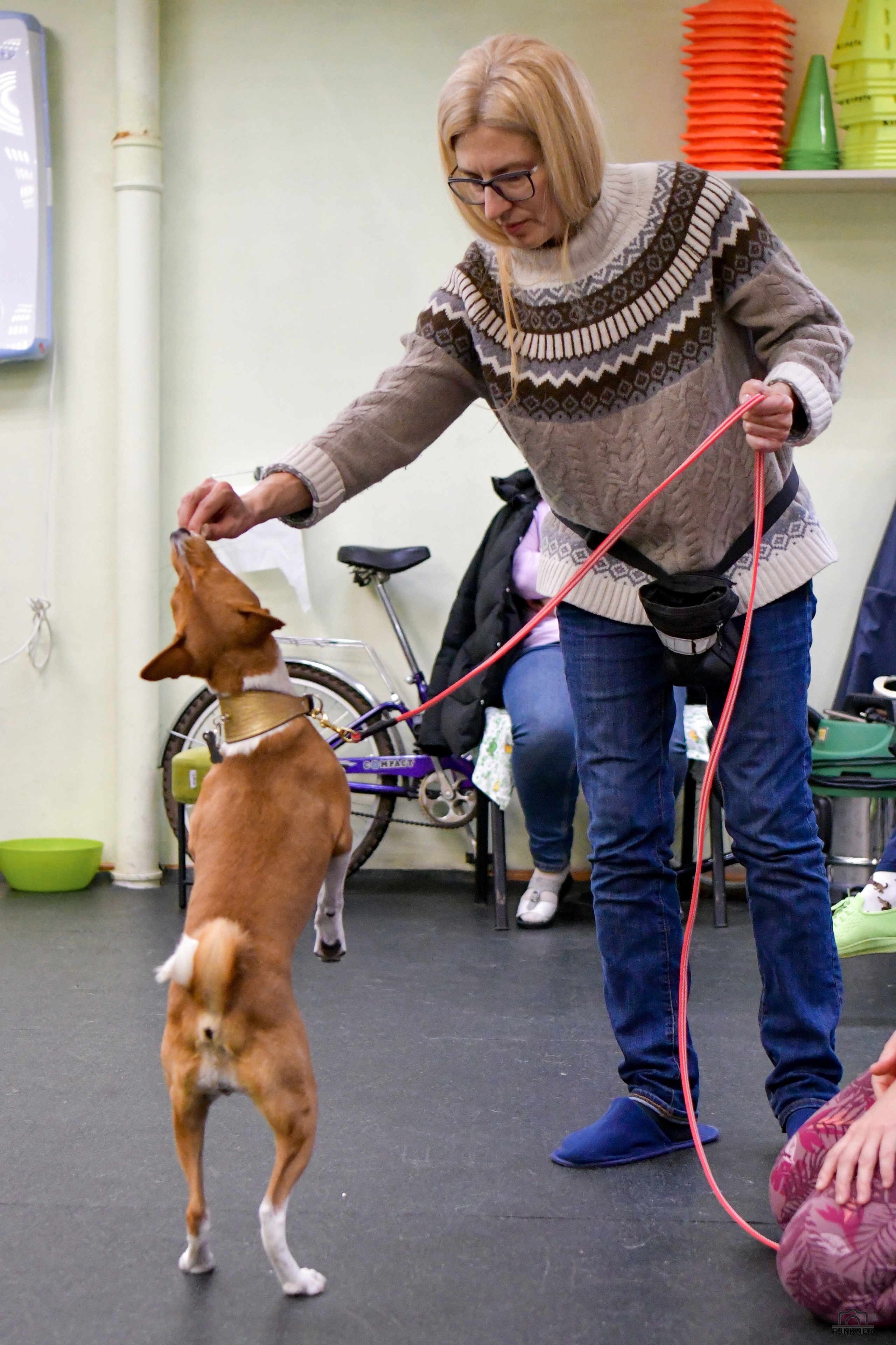 Кинологический клуб «Бодрый хвост». Свой взгляд через объектив