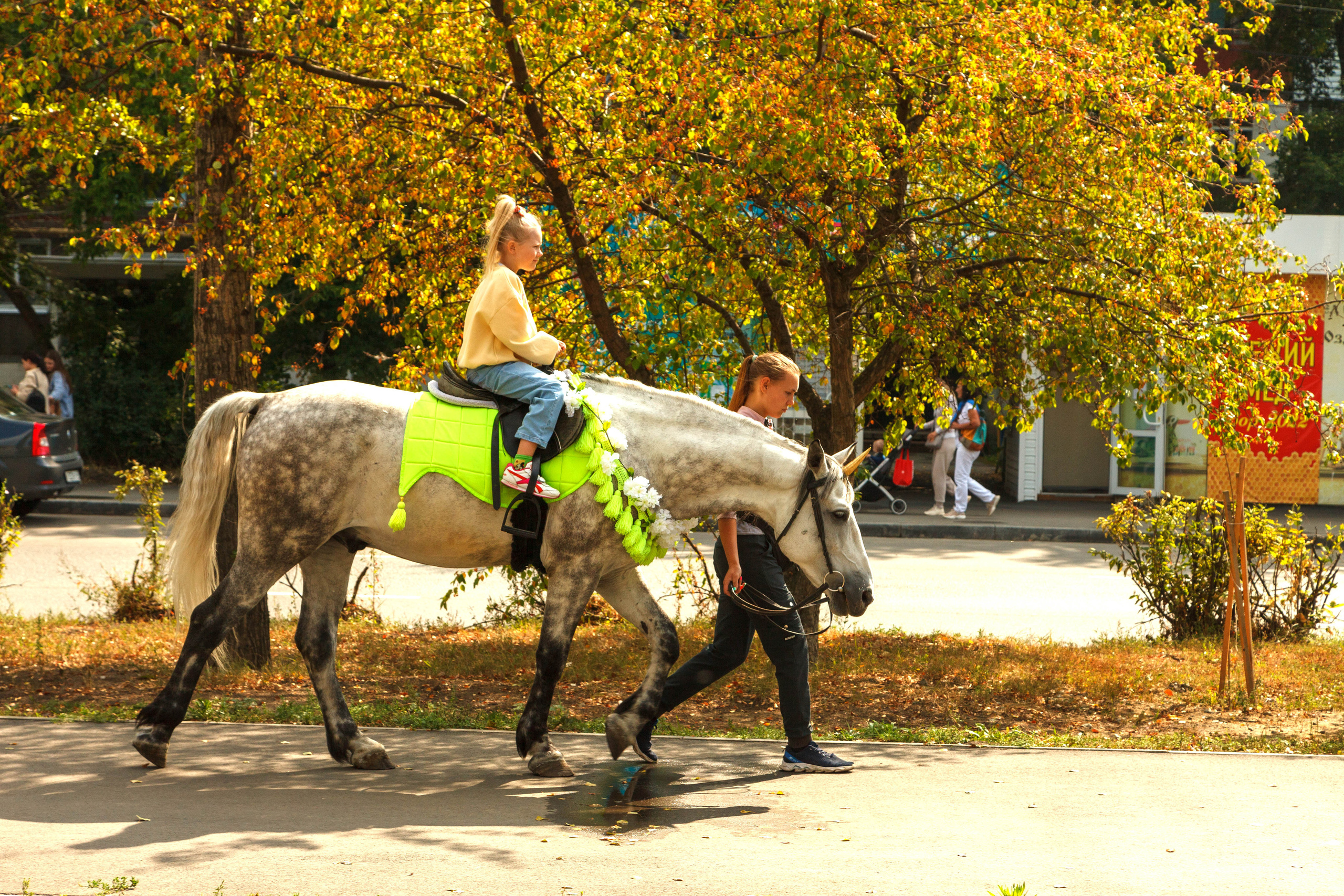 День города. Фотограф Андрей Гузеев