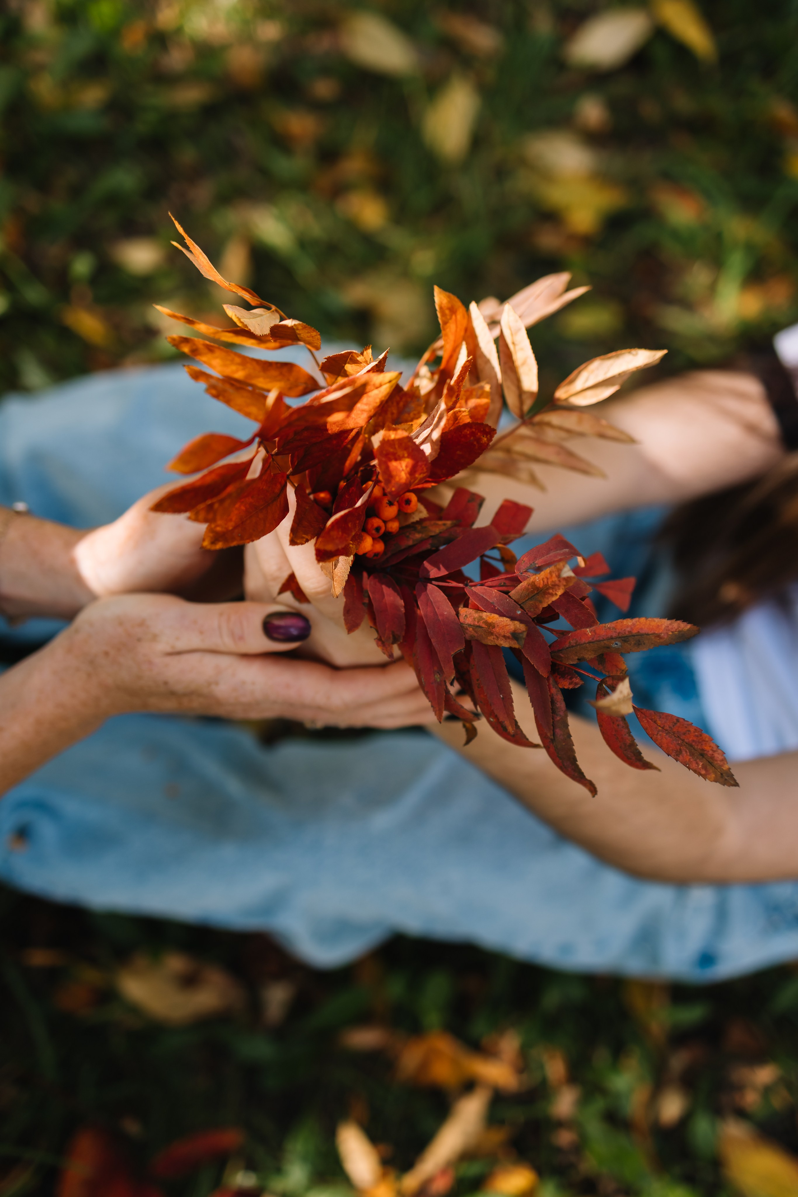 осень девочка семья семйеный фотограф фотосессия новосибирск
