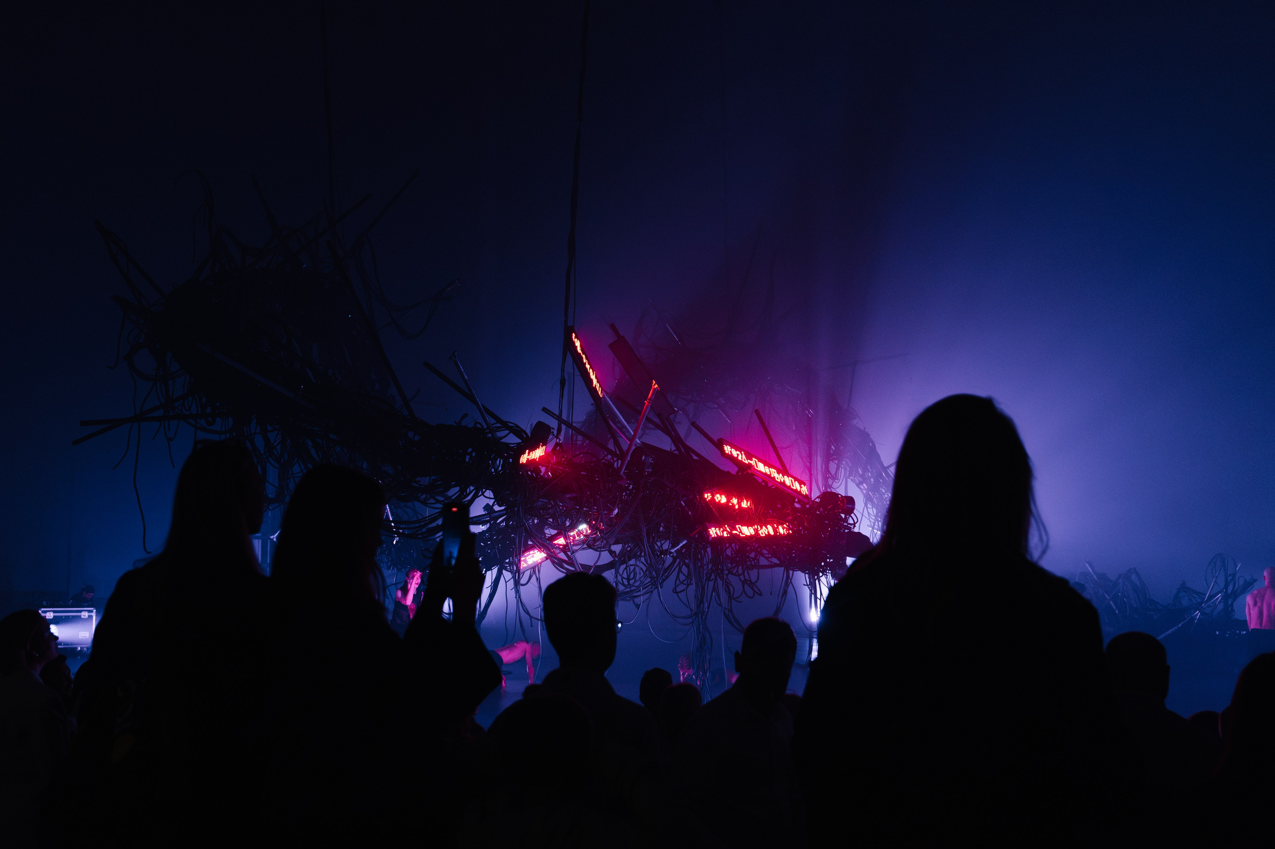 PERFORMA, The Hour of the Horse. @tomrus: Рустам Шагиморданов — фотограф