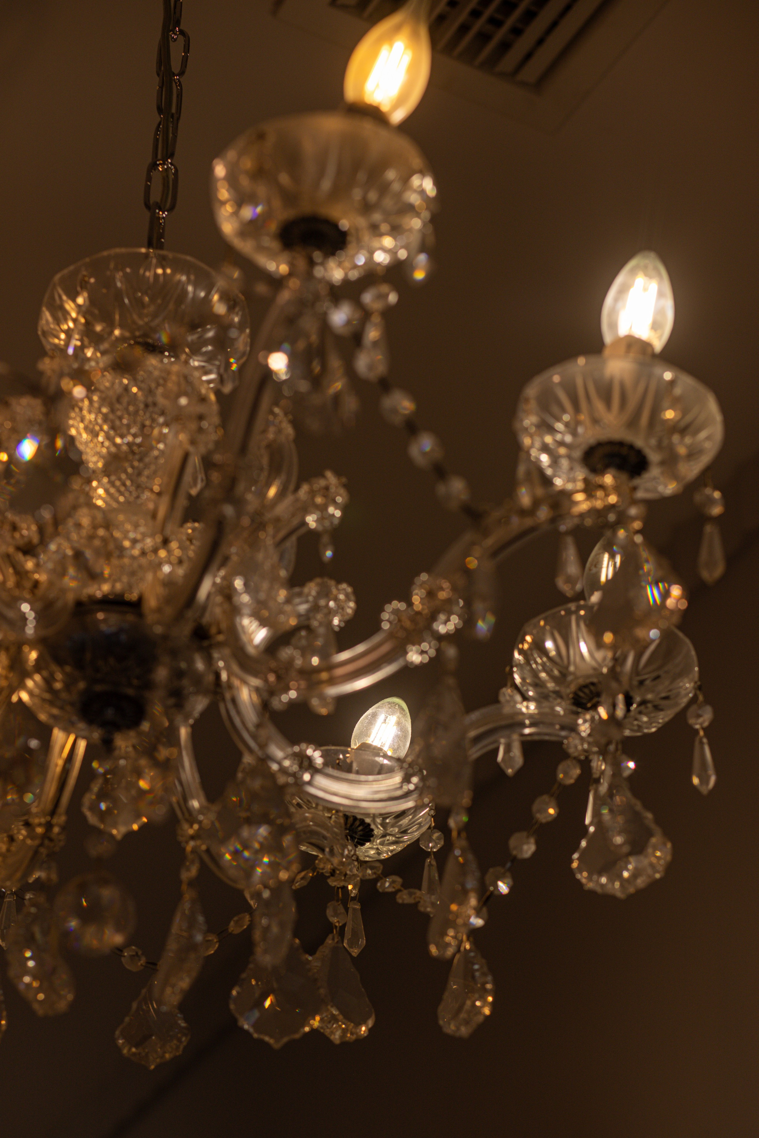 Встреча выпускников. Стоматологи СПб. Семейный фотограф в Вышнем Волочке — Ульяна Иванова | Фотосессии для всей семьи