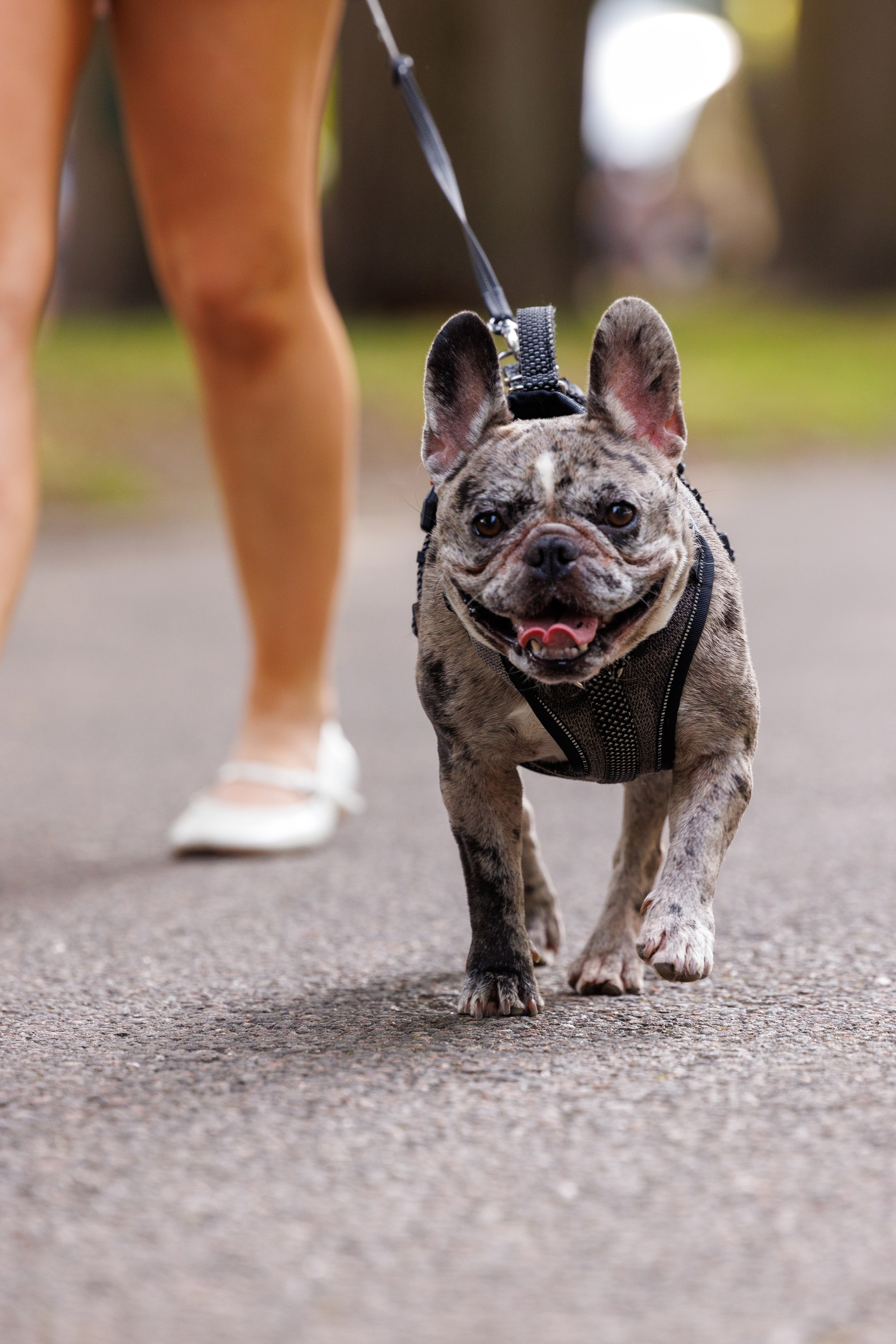 PetShopDays2026. Фотограф Александр Заломаев