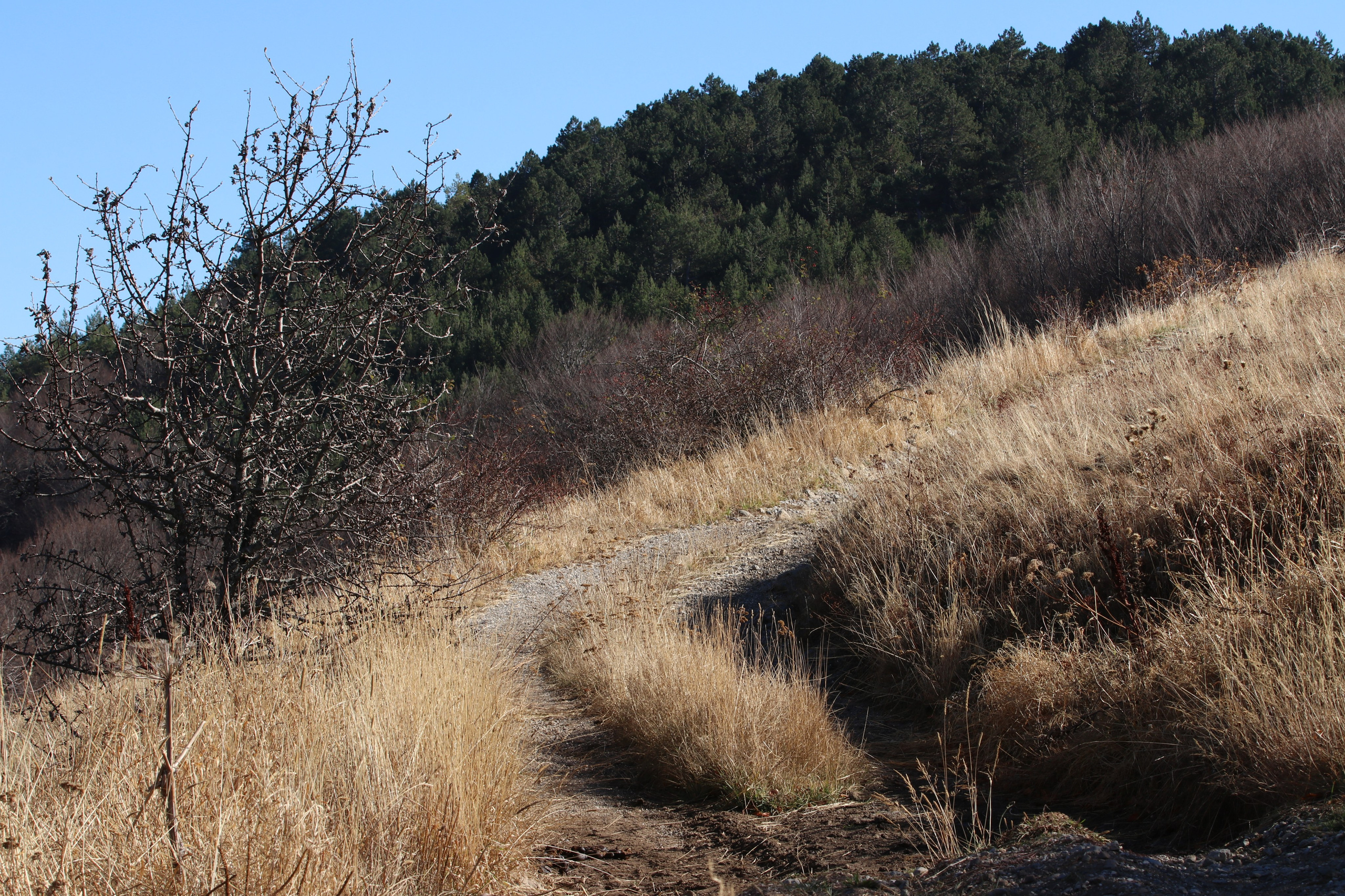 Крым. ЮБК (Гурзуф, Судак и их окрестности). Ноябрь 2023. Путешественник-фотограф из Санкт-Петербурга Татьяна Свистулина