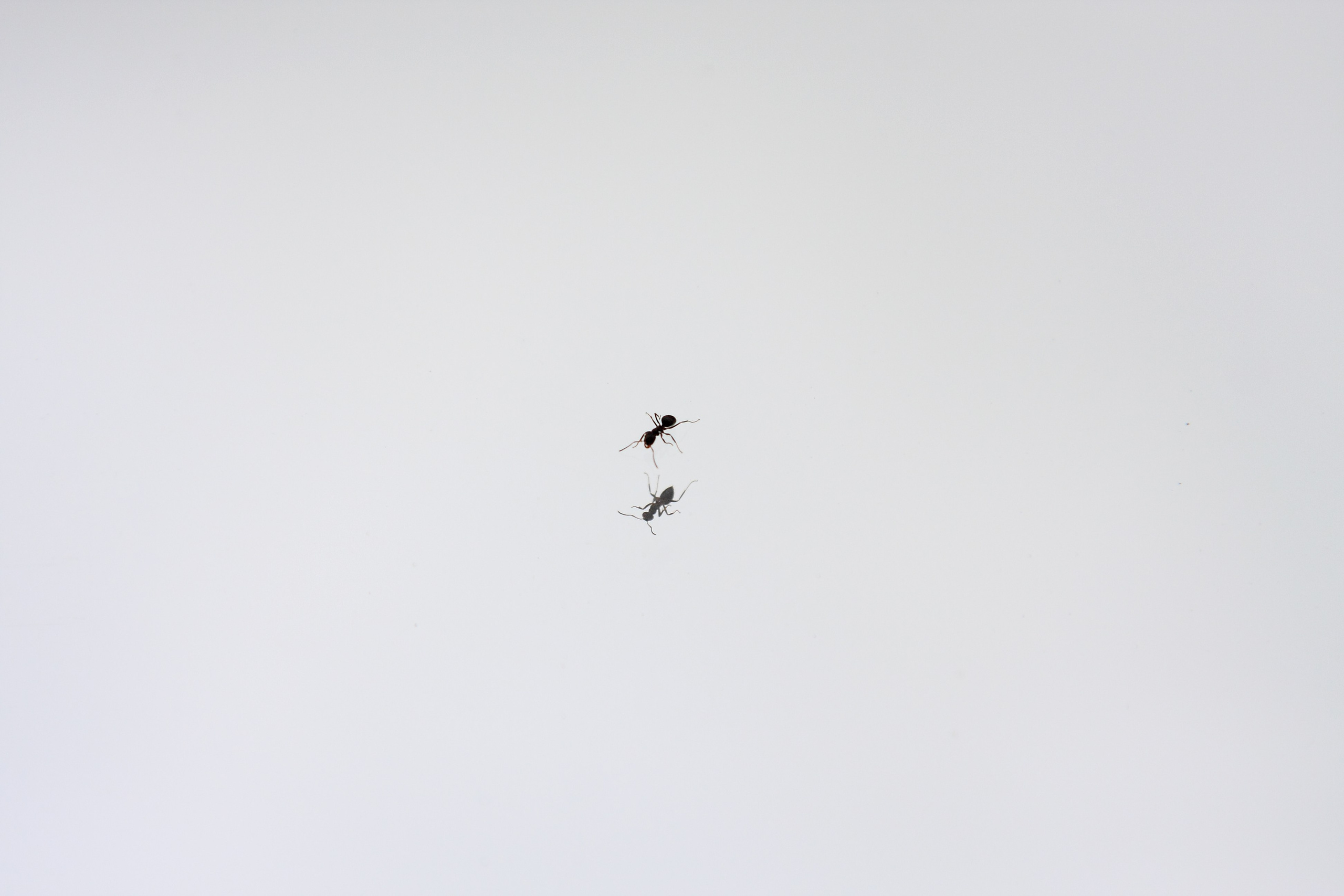 Ареал обитания. Фотографии Саши Любина