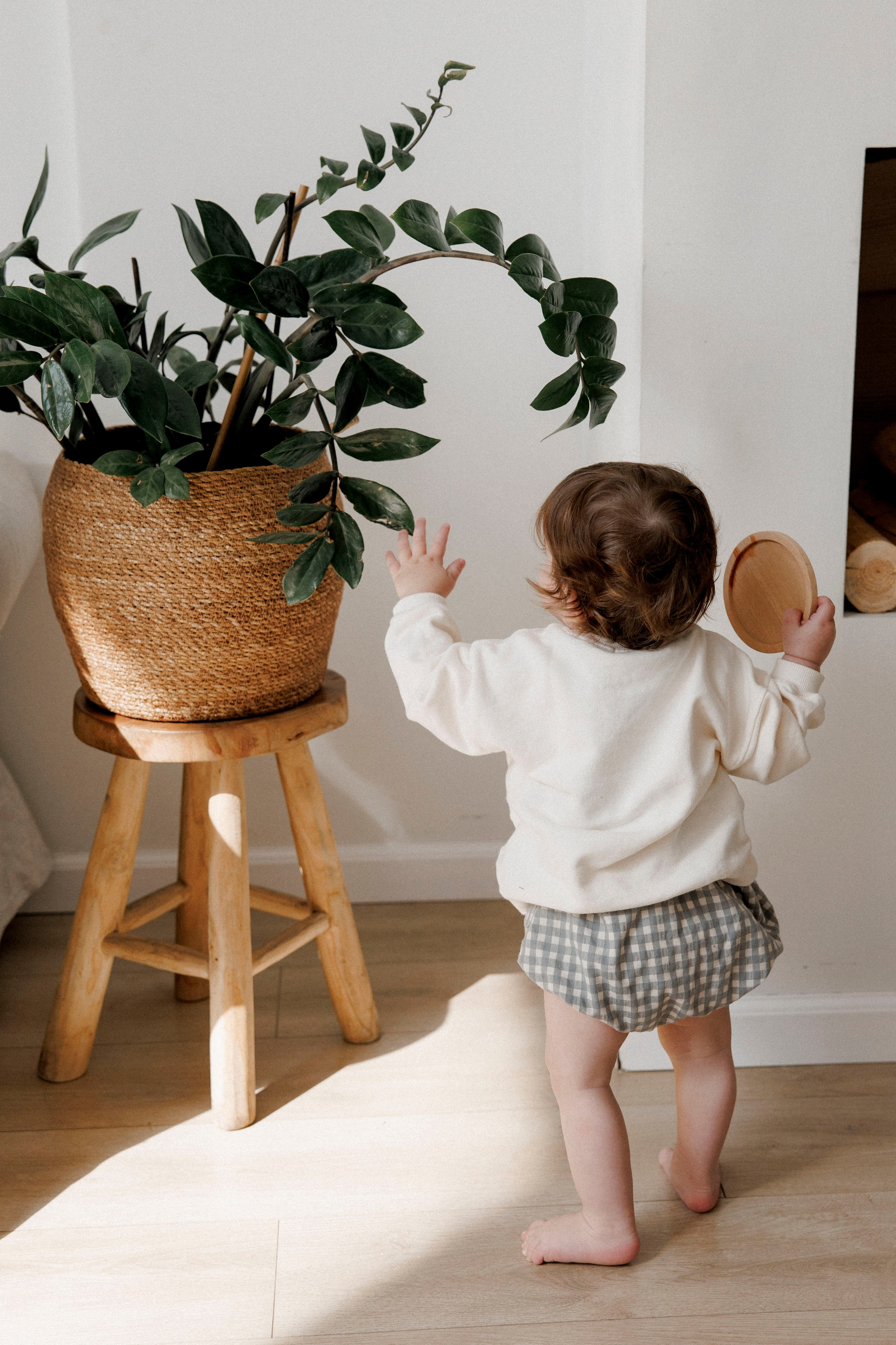 One year inside the White studio. Wedding and family photographer